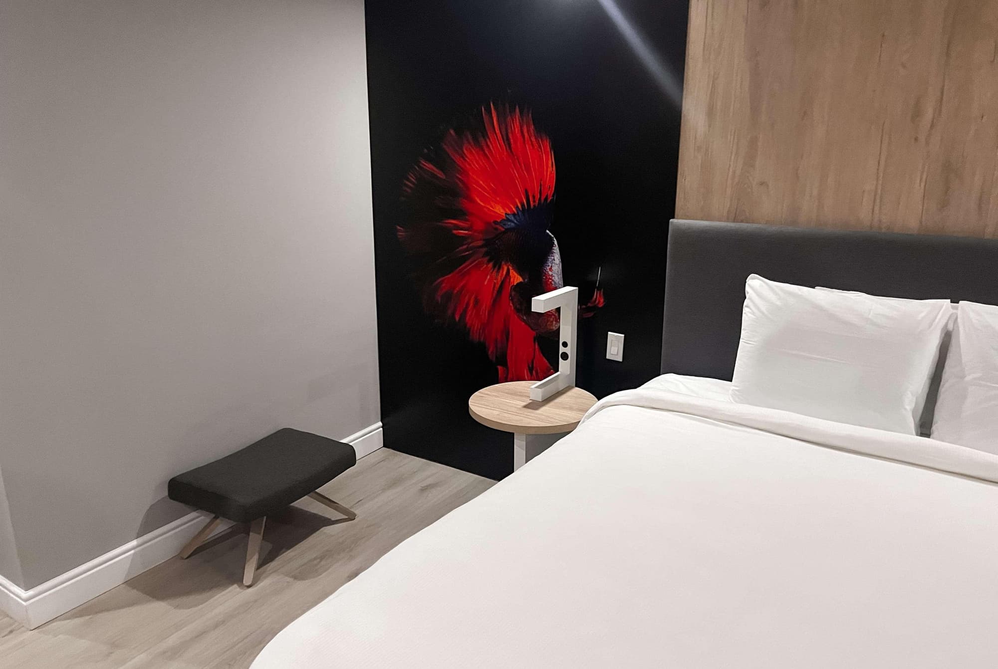 TRYP by Wyndham Aruba Adults Only Hotel, Room