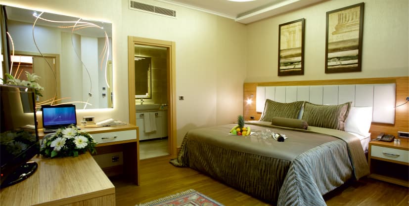 Dovsotel Manisa, Room
