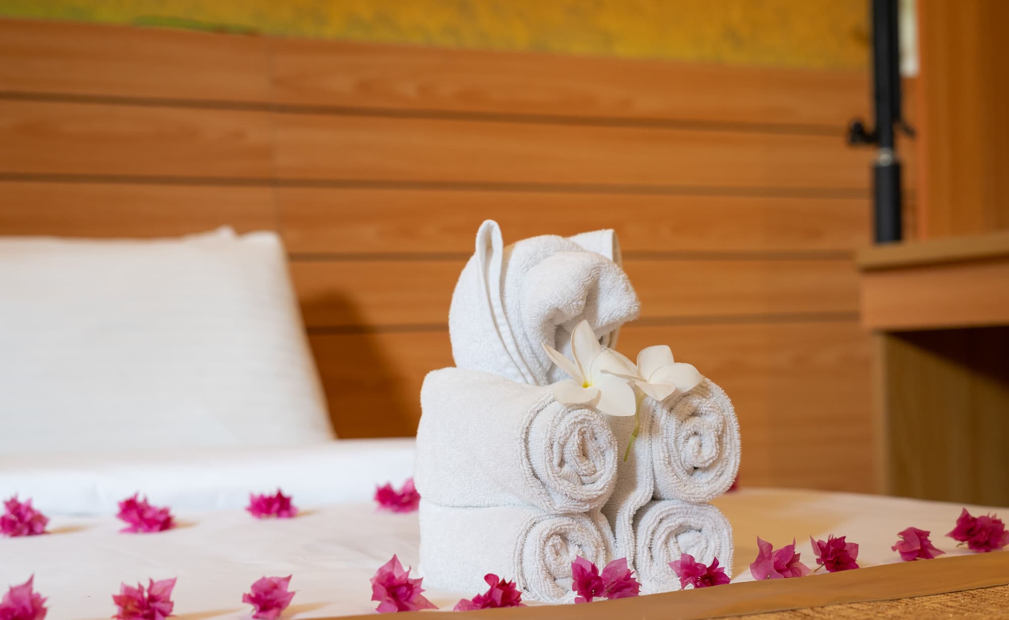 Nala Veli Beach & Spa, Room