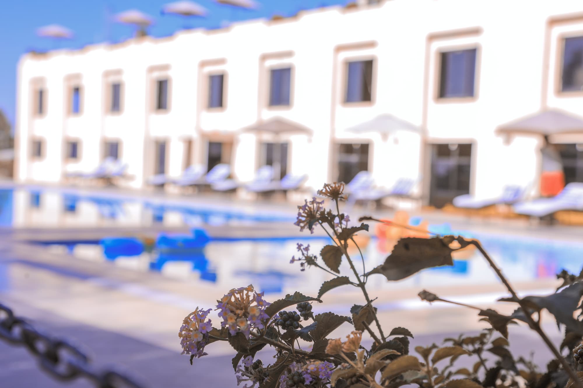 Haile Resort Gondar, Pool