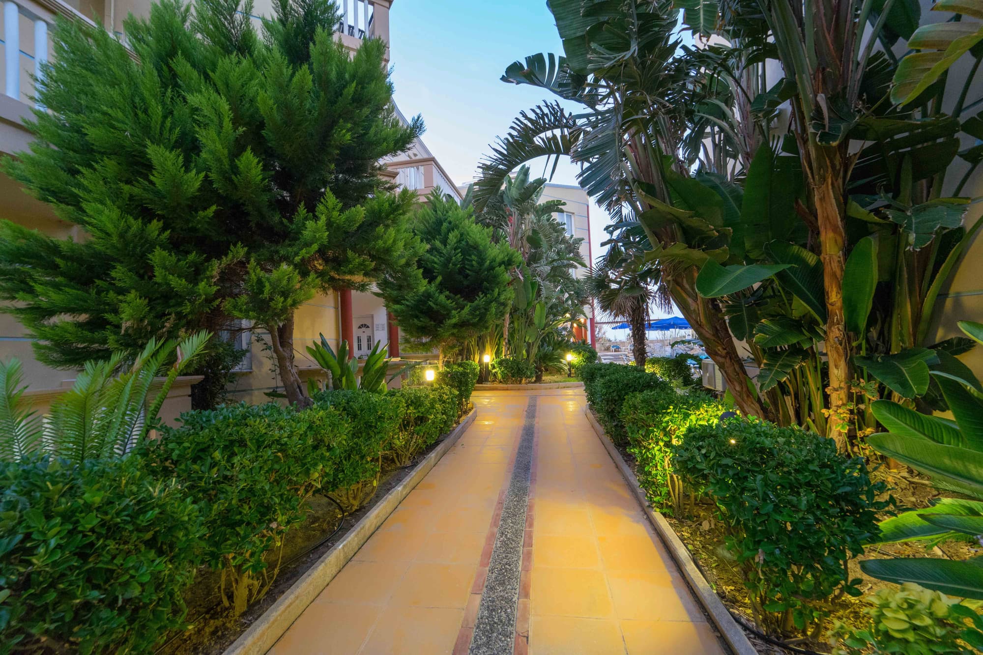 Futura, General view