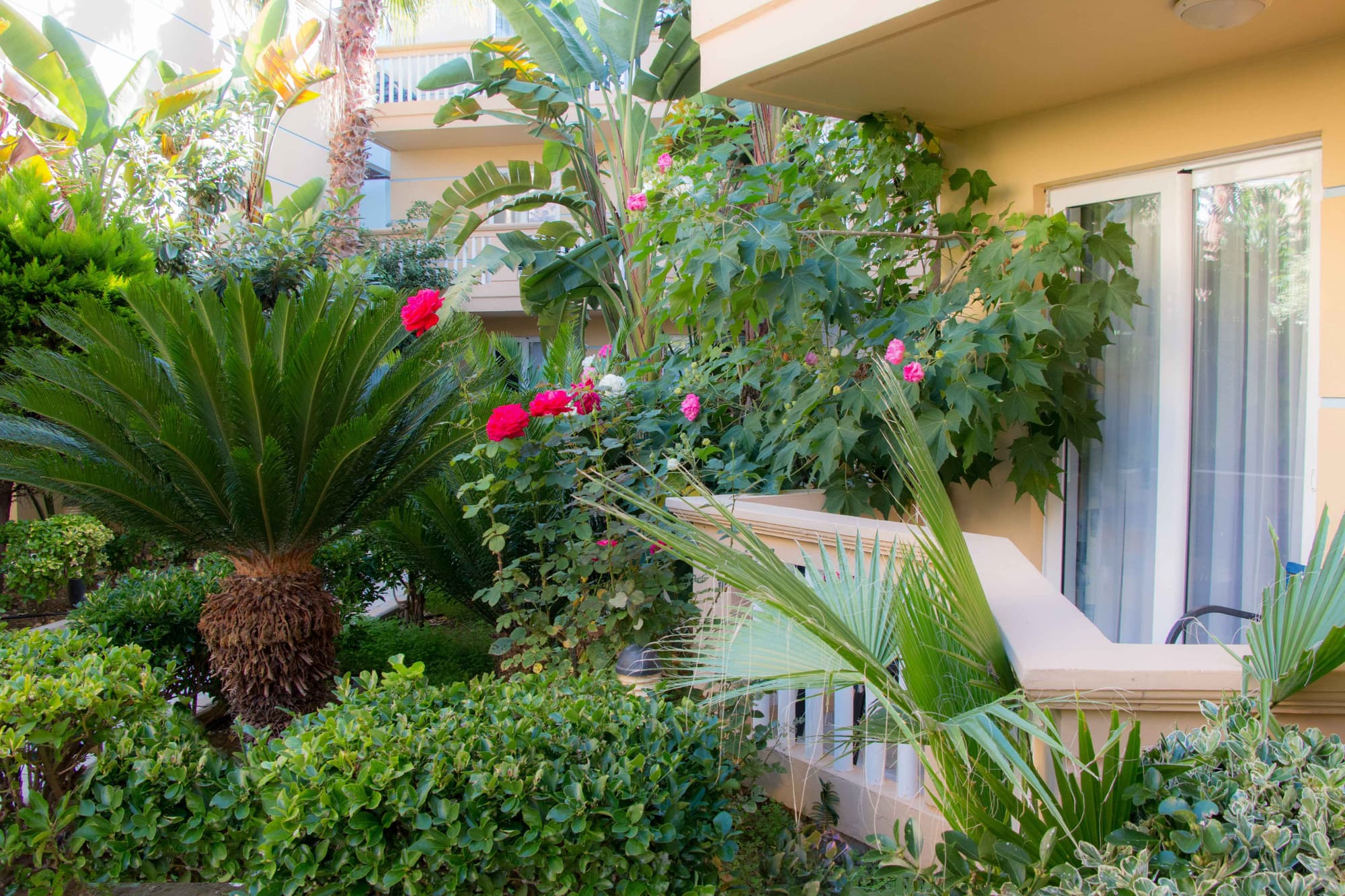 Futura, General view