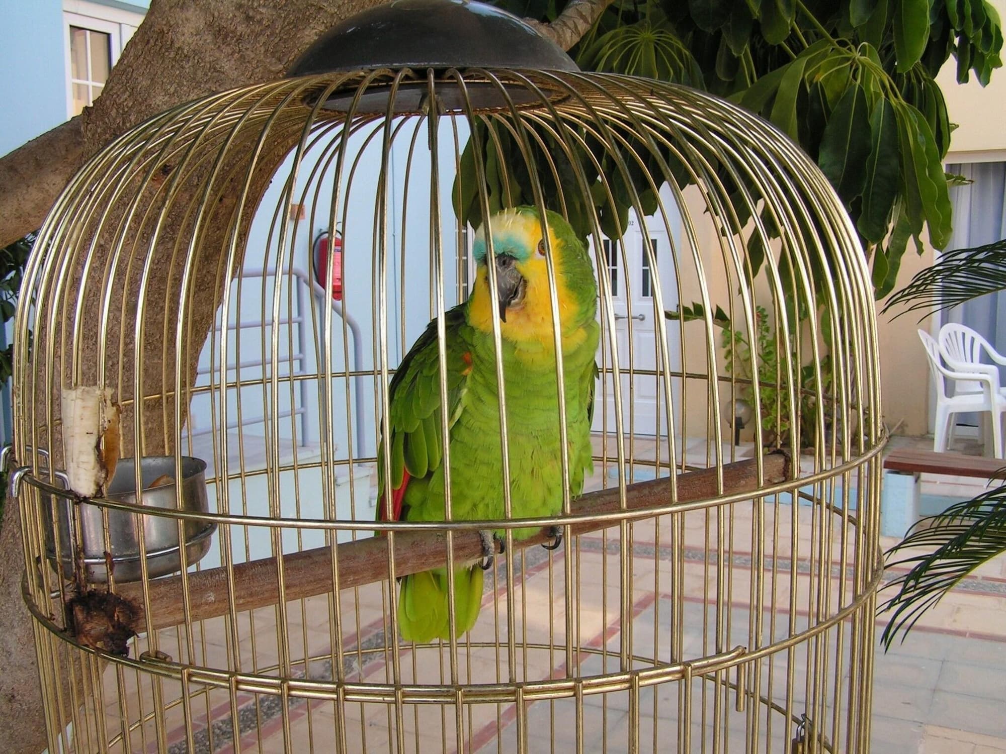 Futura, General view