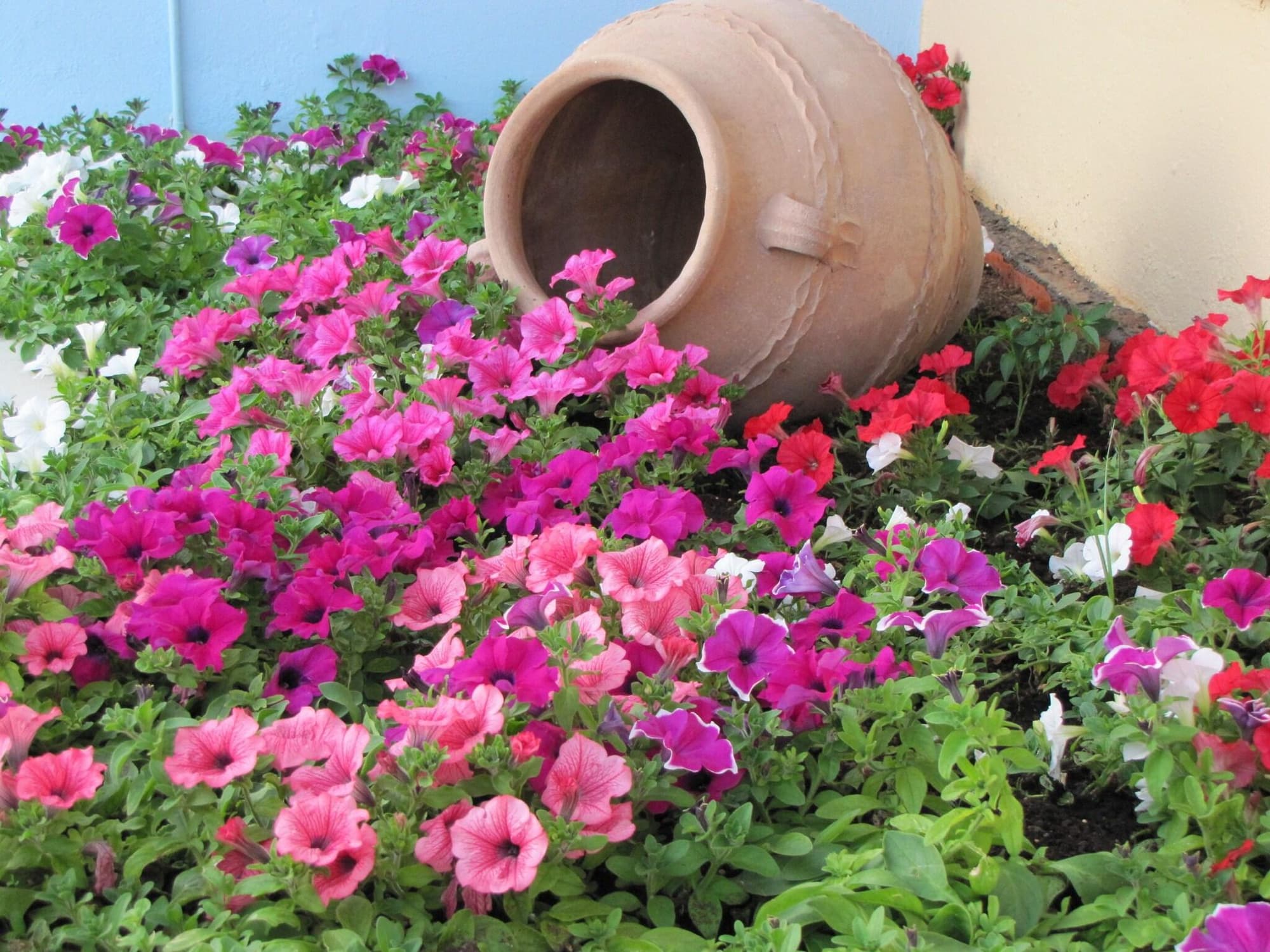 Futura, General view