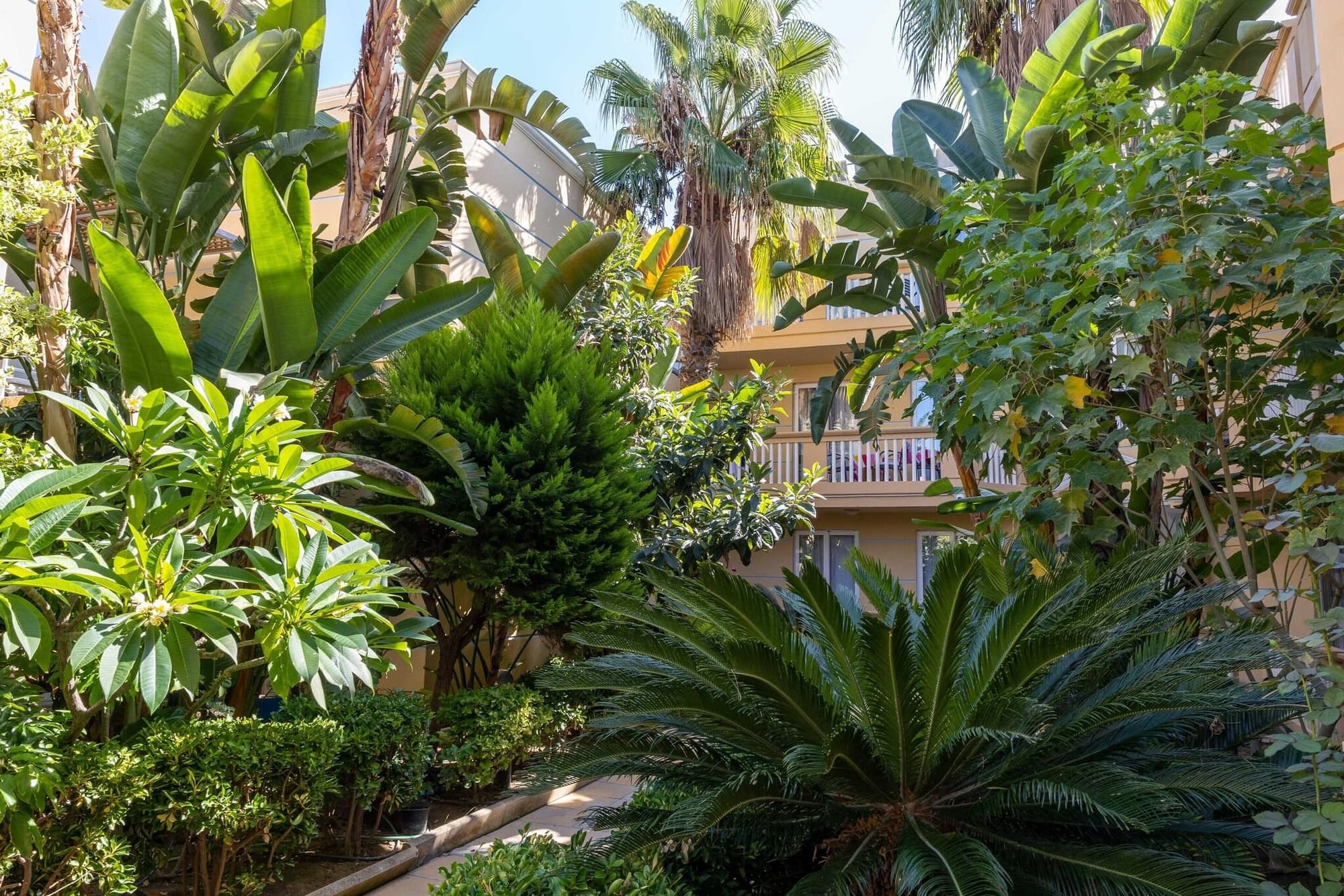 Futura, General view