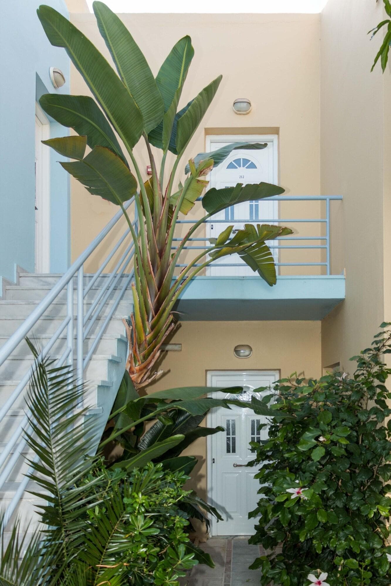 Futura, General view