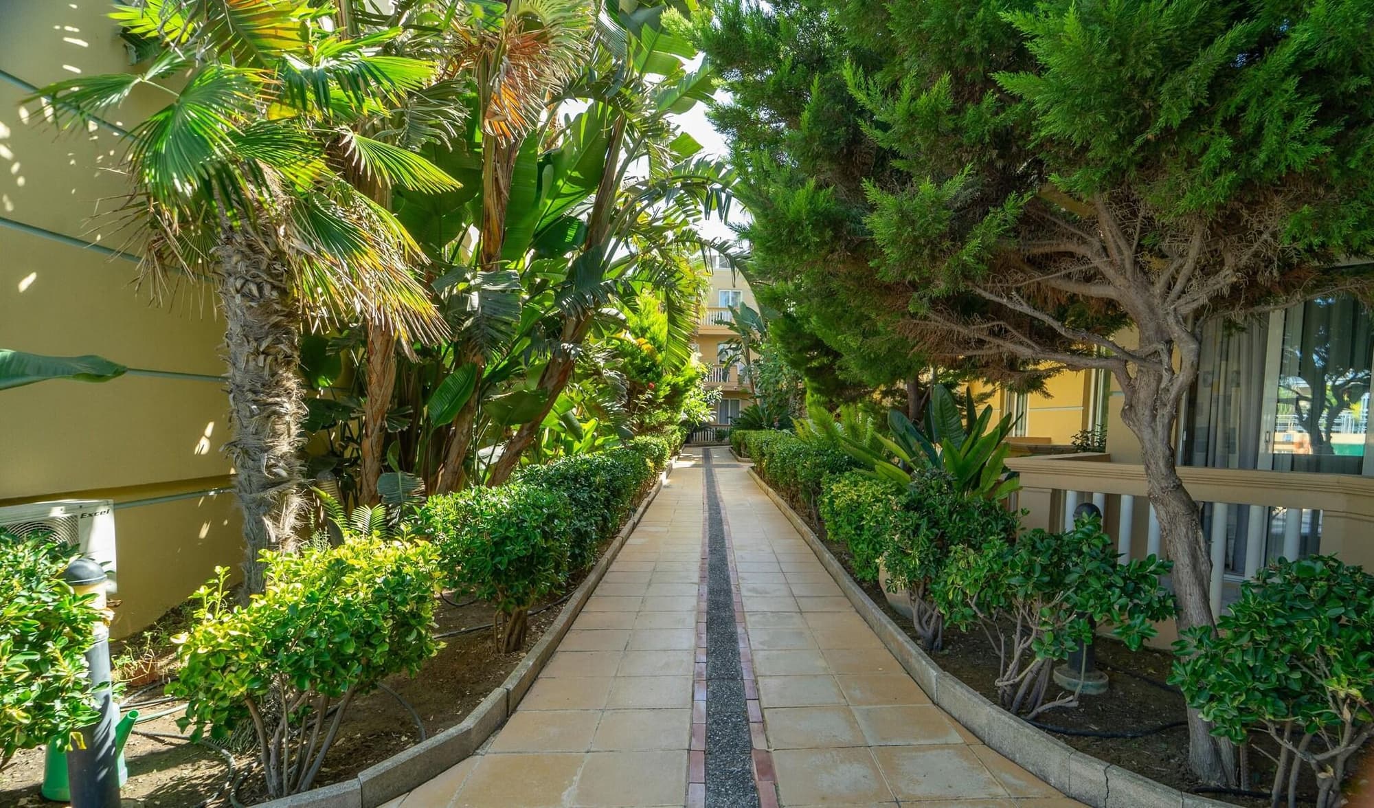 Futura, General view