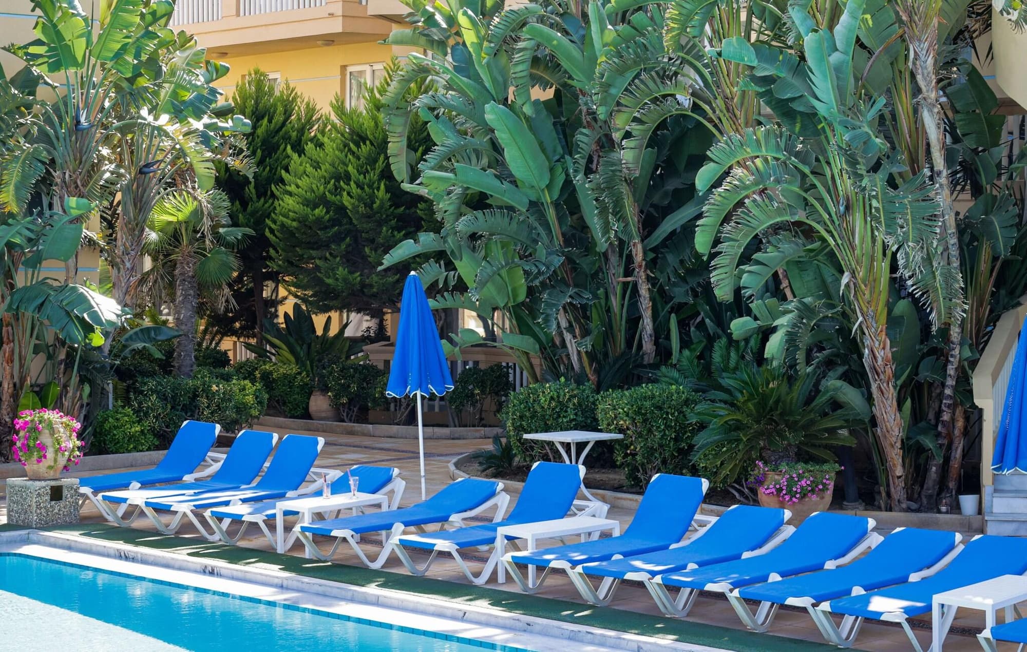 Futura, General view