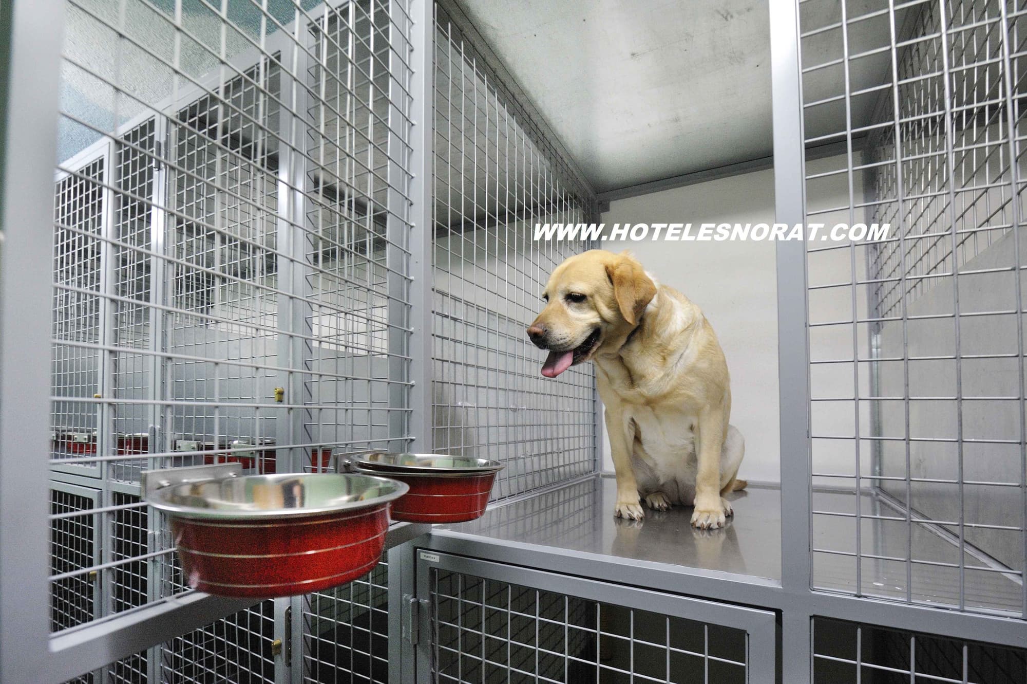 Hotel Spa Norat O Grove, Sports and Entertainment