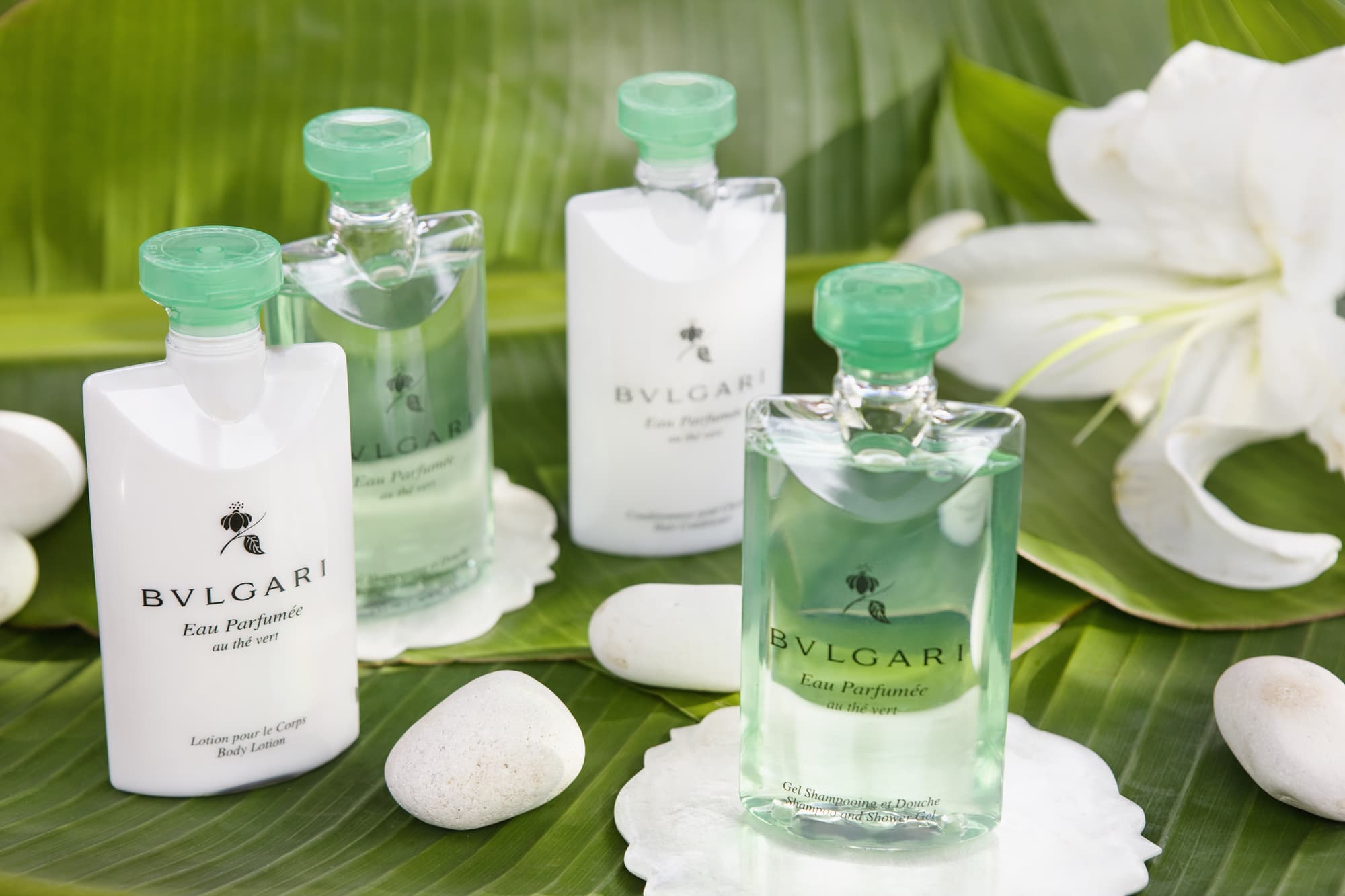 Beloved Playa Mujeres Couples Only, Room