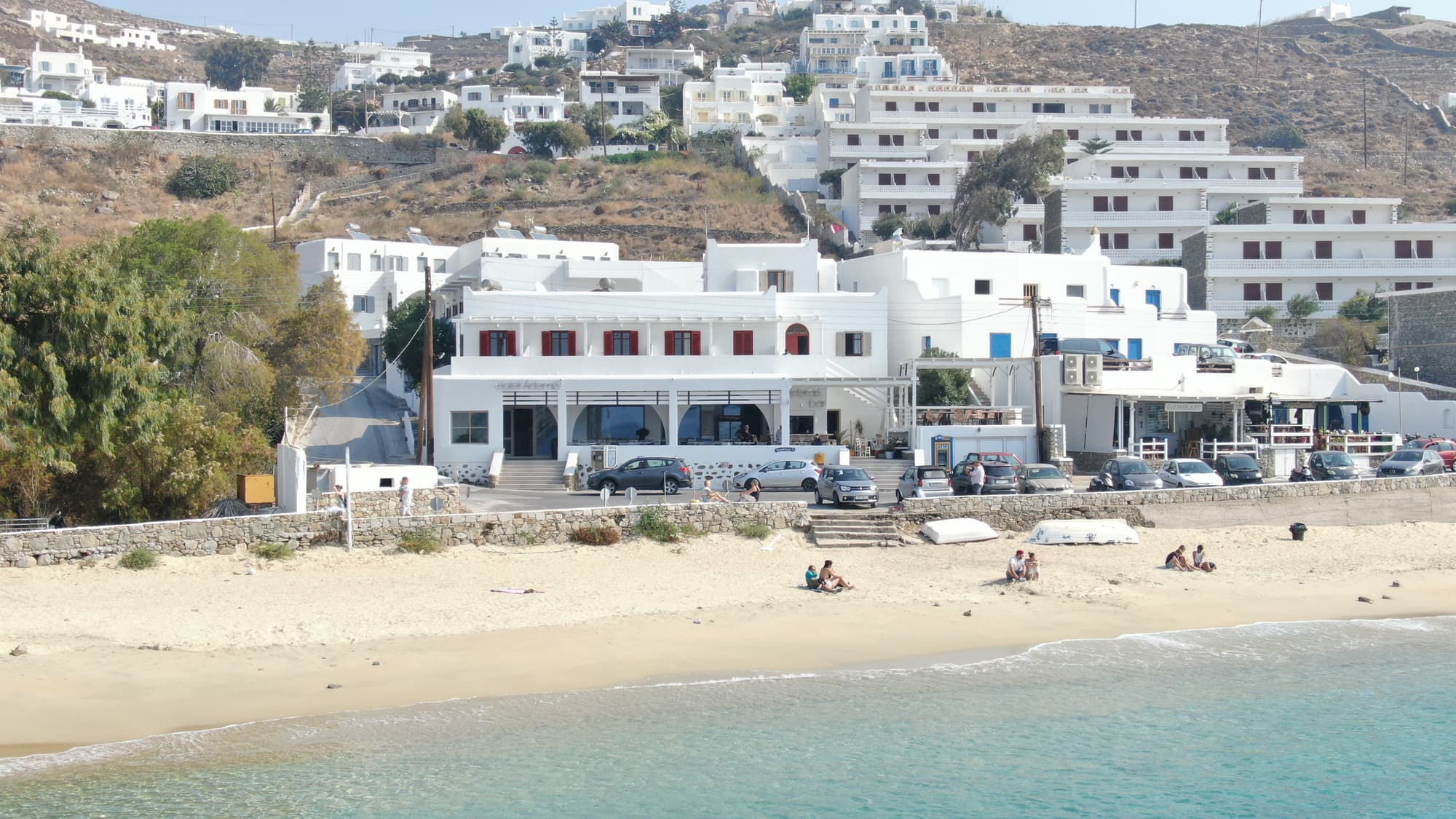 Artemis, General view