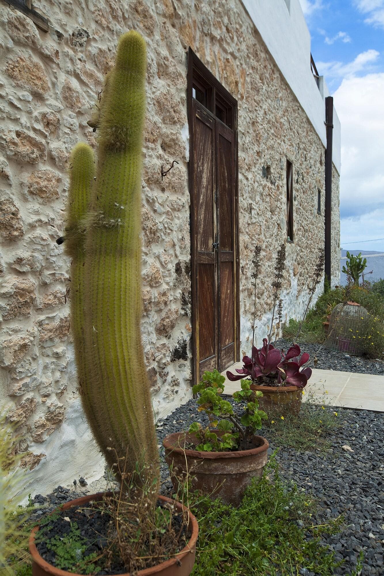 Era de la Corte, General view