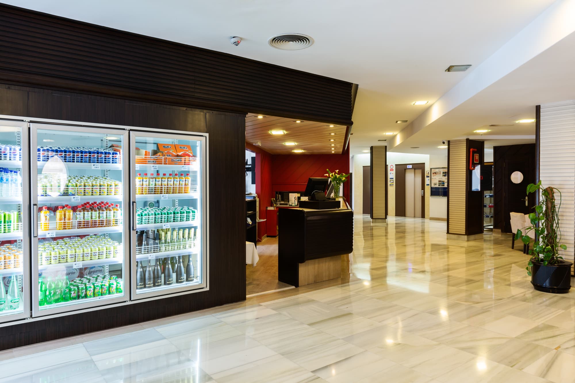 Hotel Pabisa Sofía, Lobby