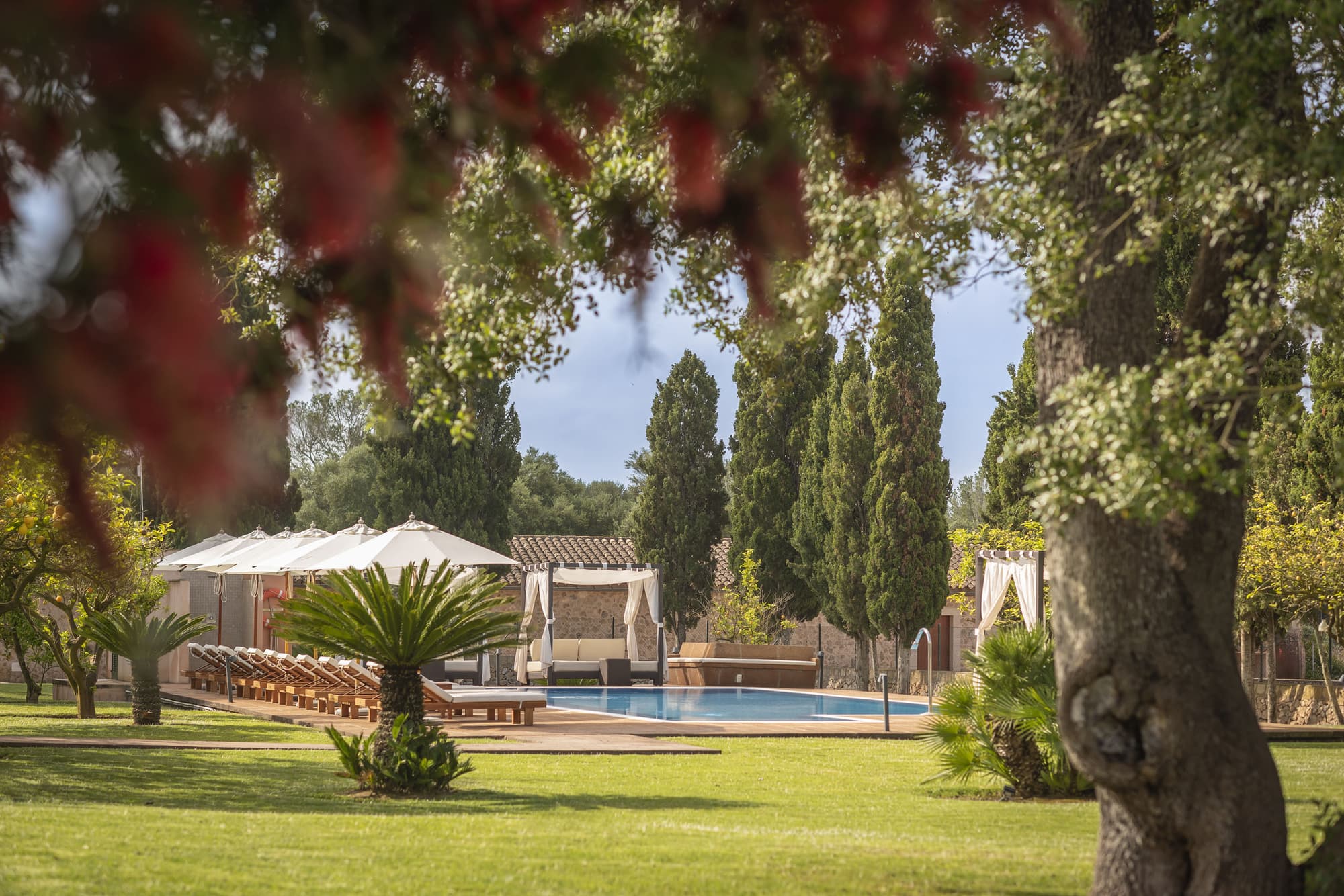 Finca Son Roig, General view
