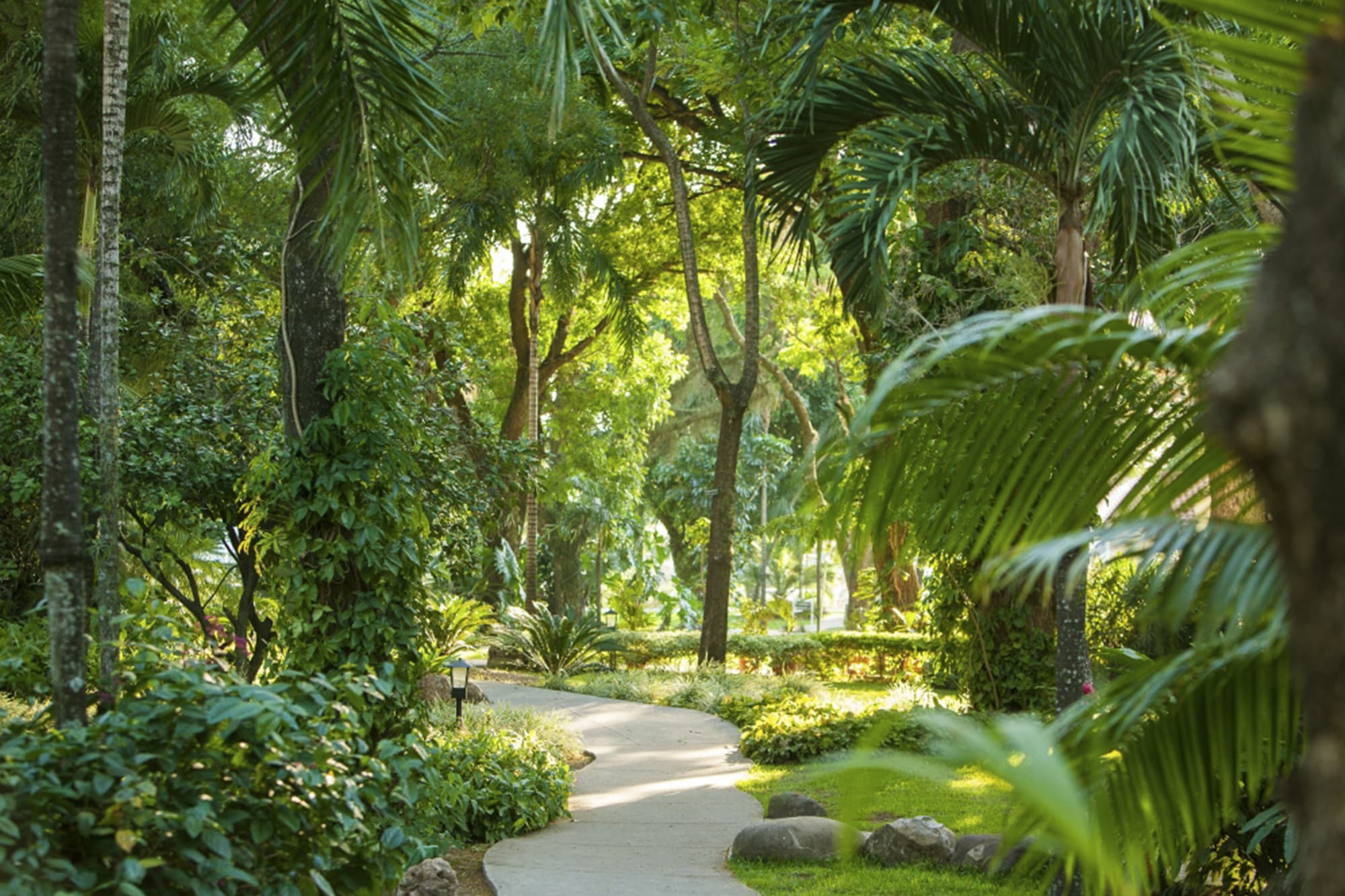 Los Tajibos, General view