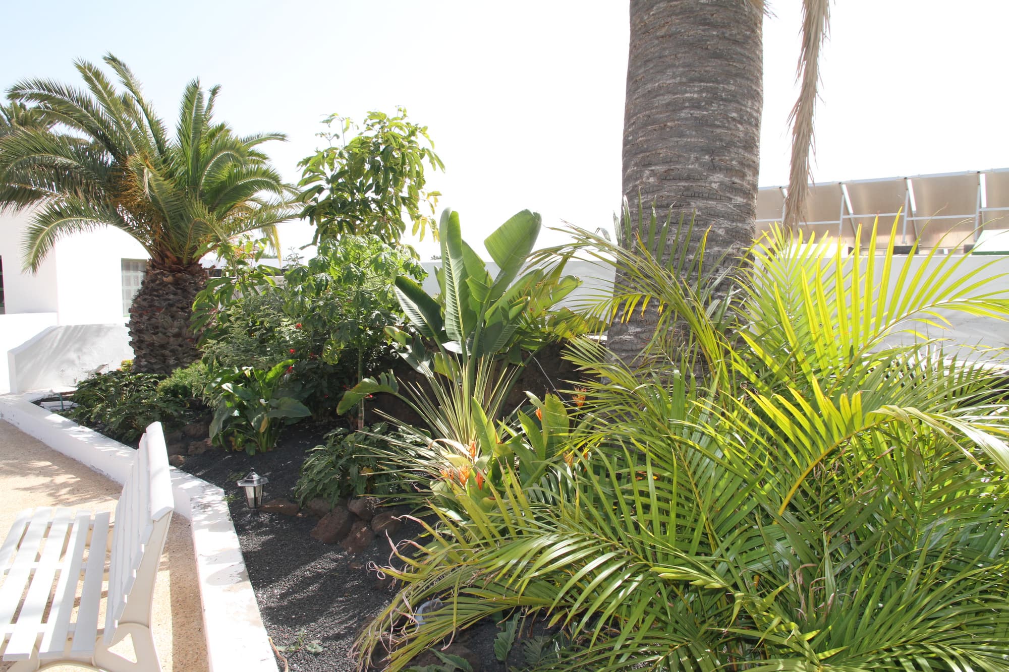 Casas Heddy, General view