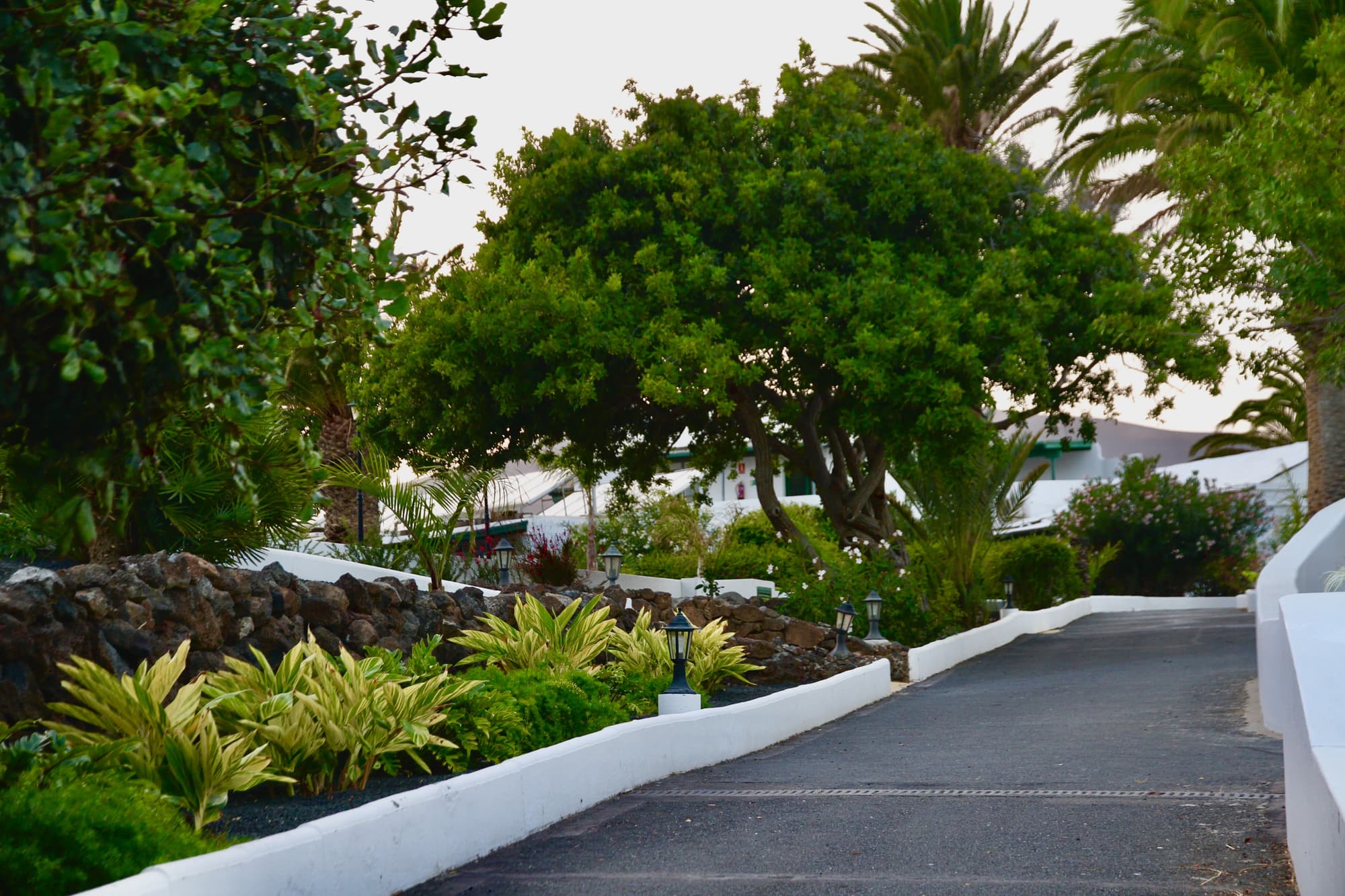 Casas Heddy, General view