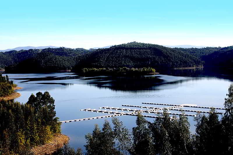 Montebelo Aguieira Lake Resort & Spa, General view