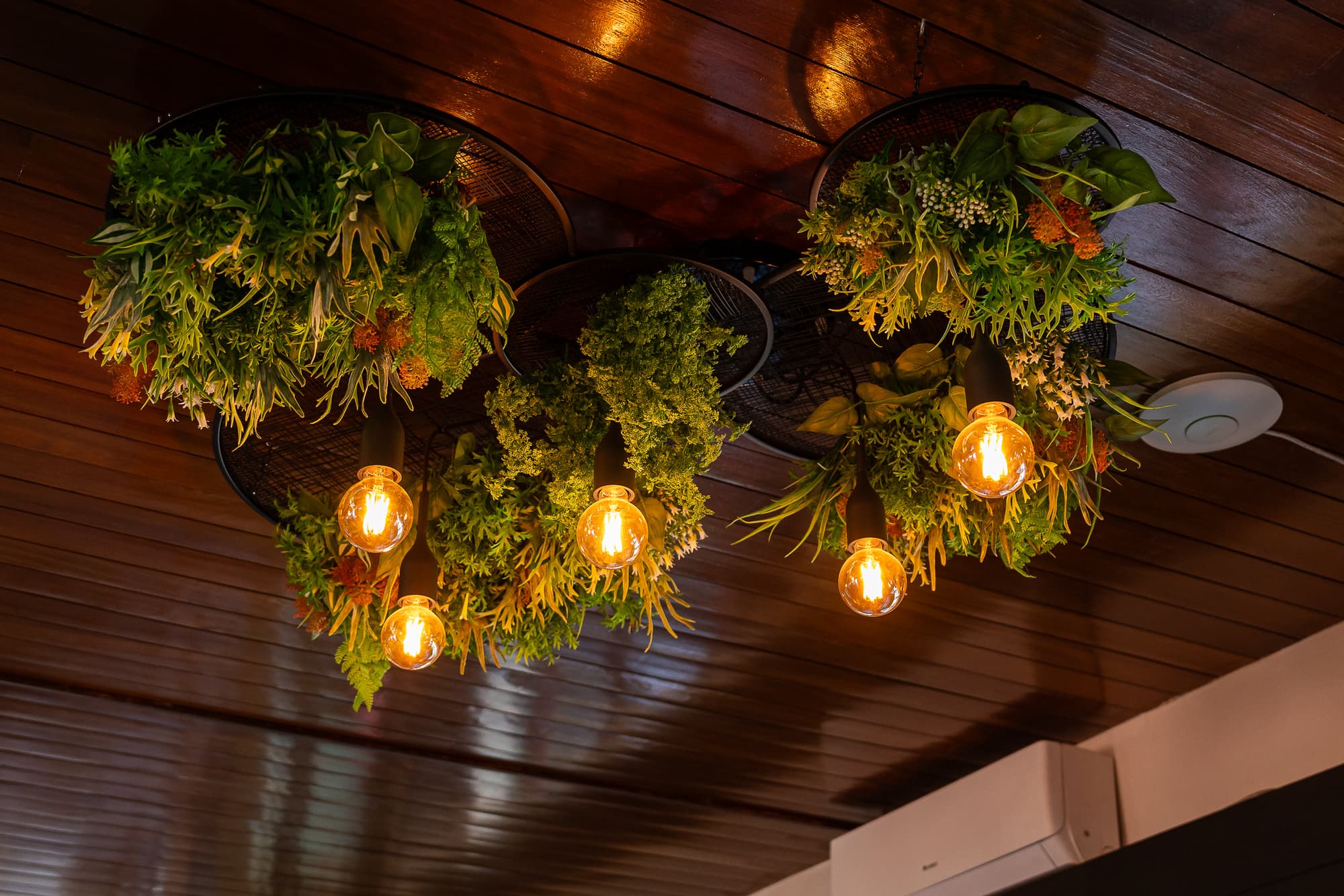 Aqua Hotel Ovar, General view