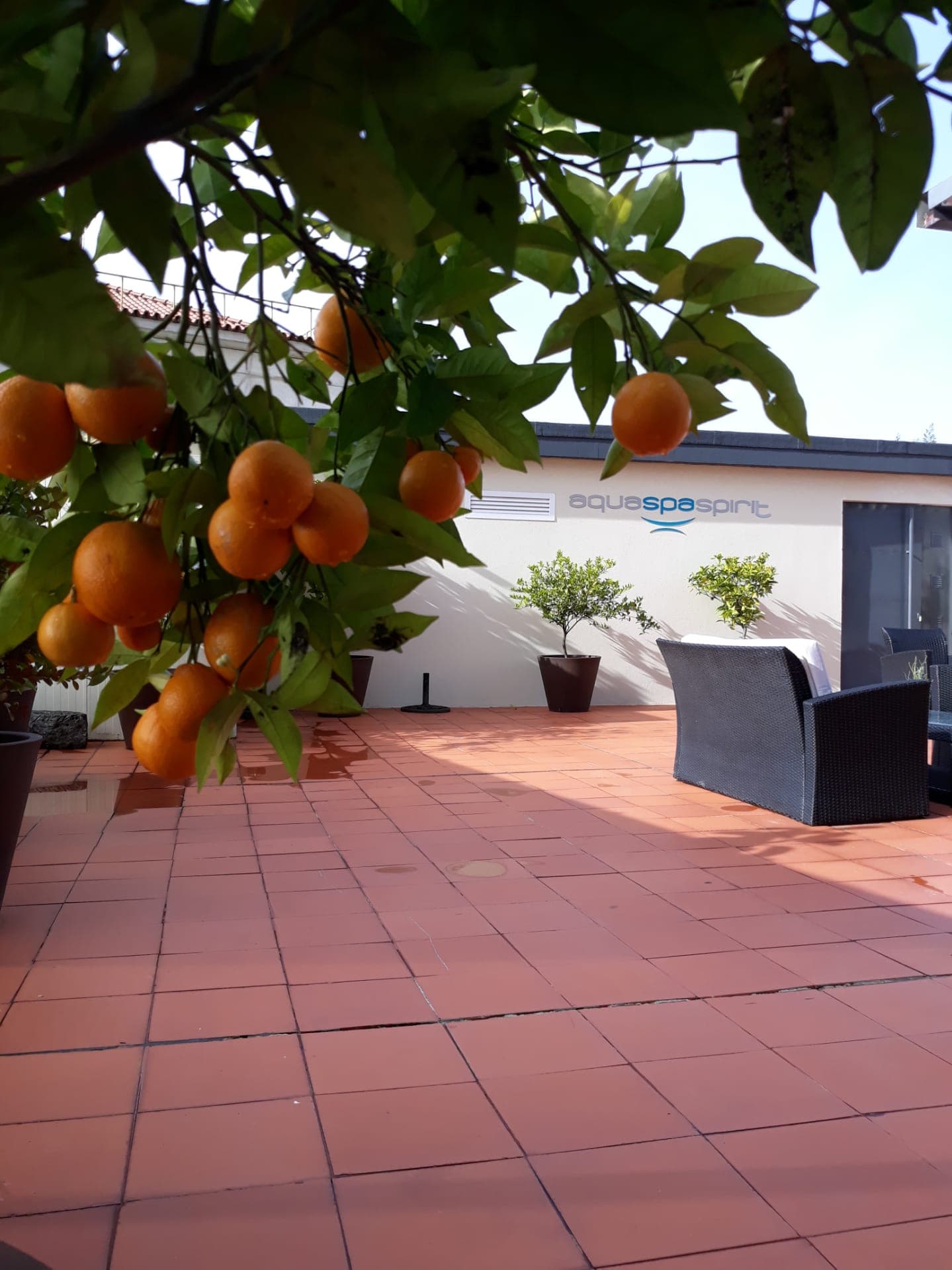 Aqua Hotel Ovar, Terrace