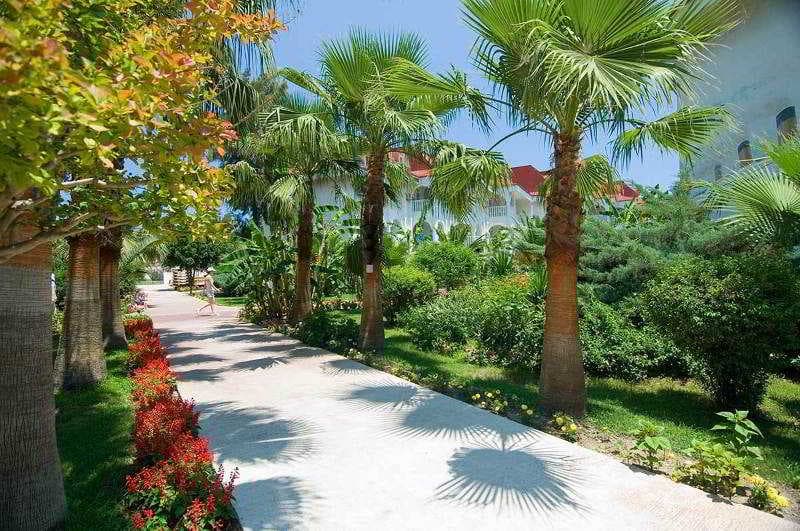 Sailor's Beach Club, General view