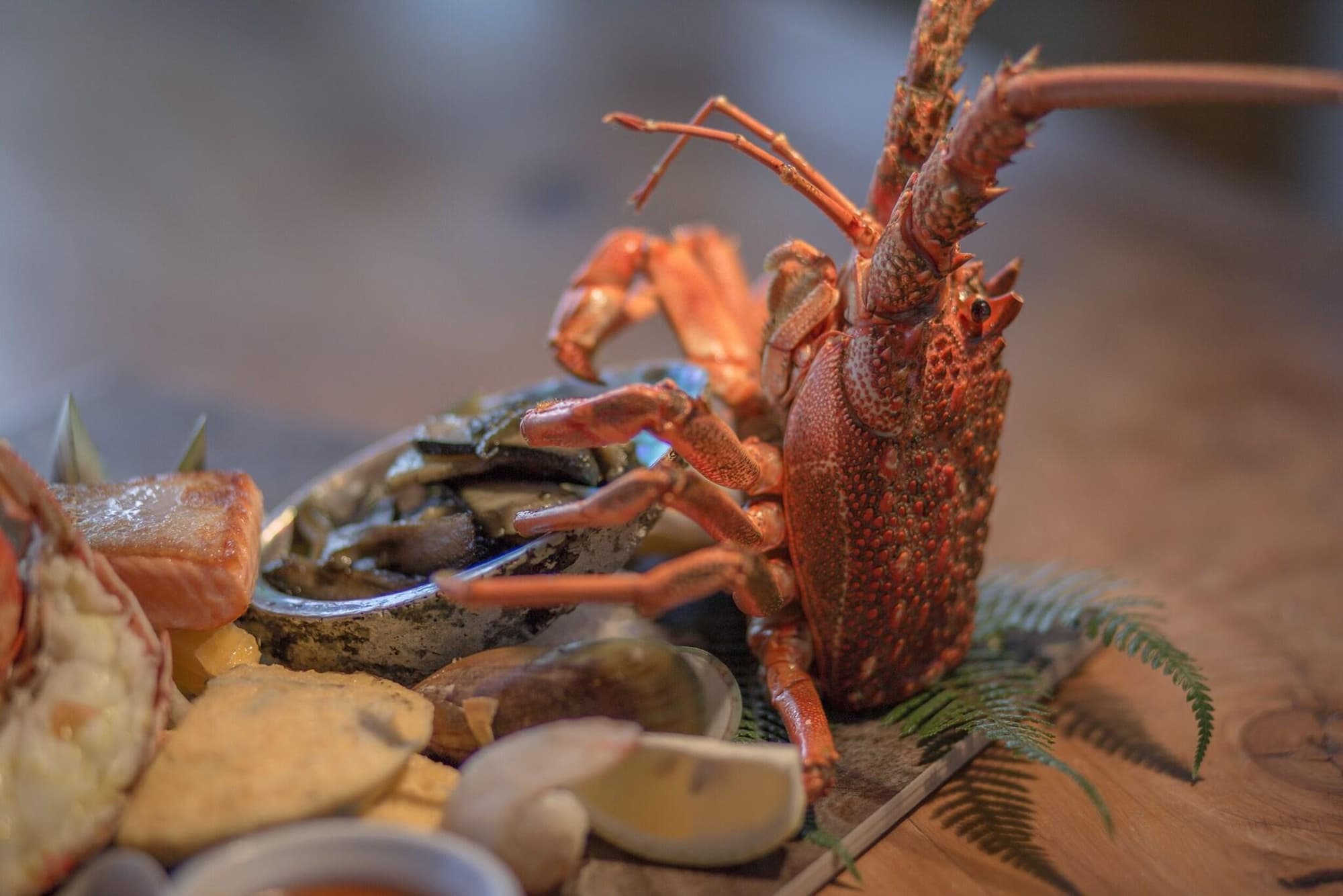 Fiordland Lodge, Restaurant