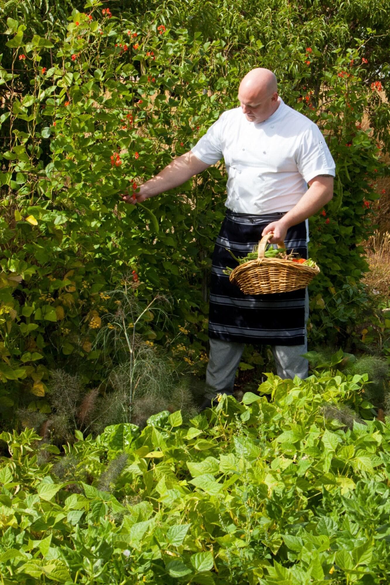Fiordland Lodge, Restaurant