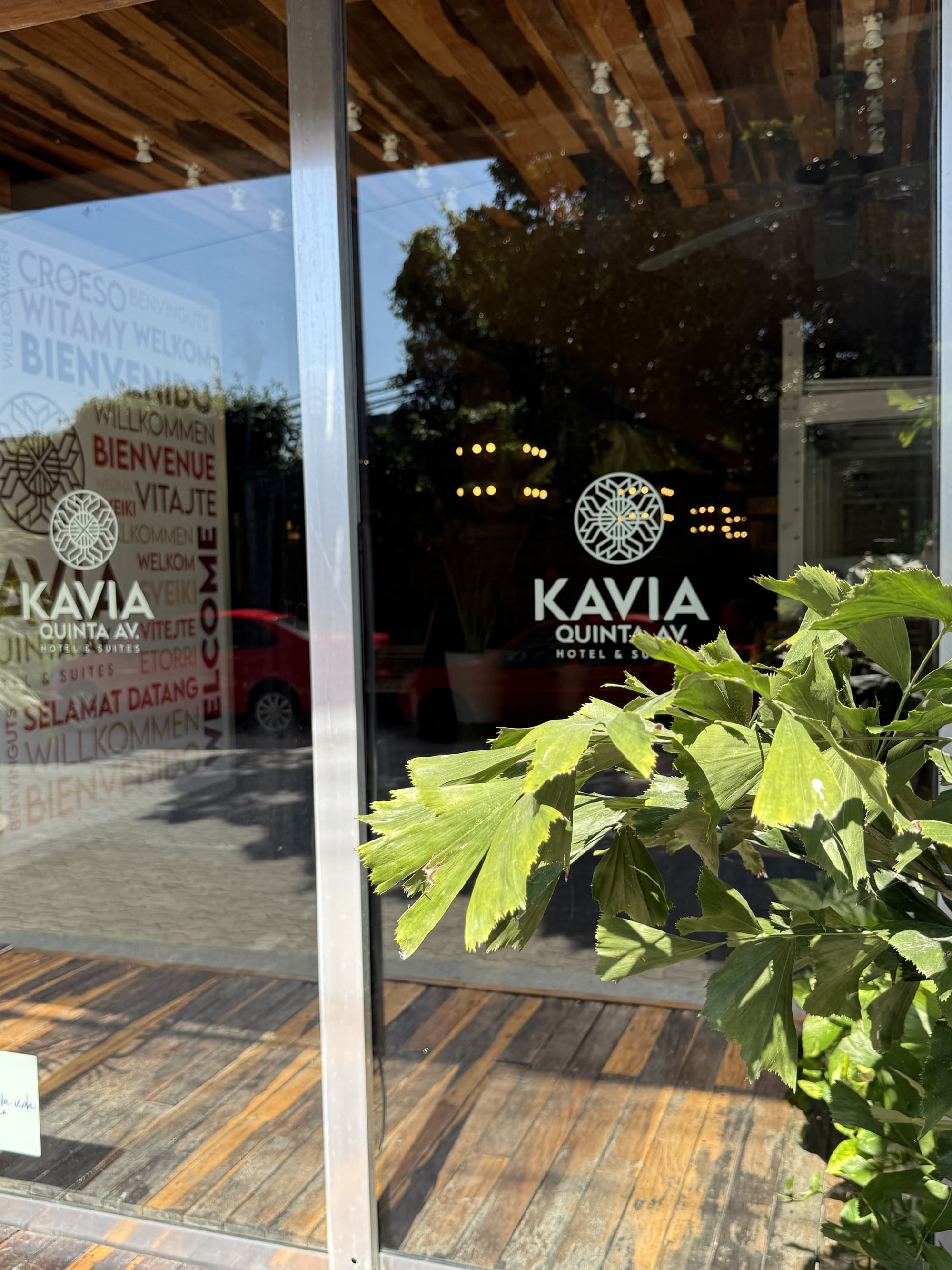 Hotel Kavia 5th Avenida, General view