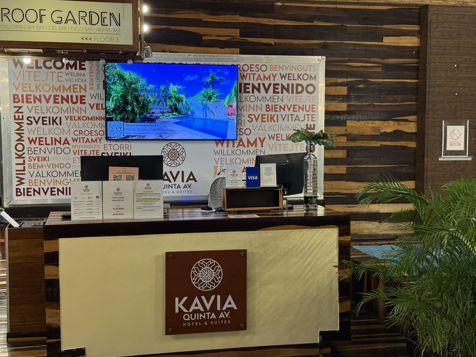 Hotel Kavia 5th Avenida, Lobby