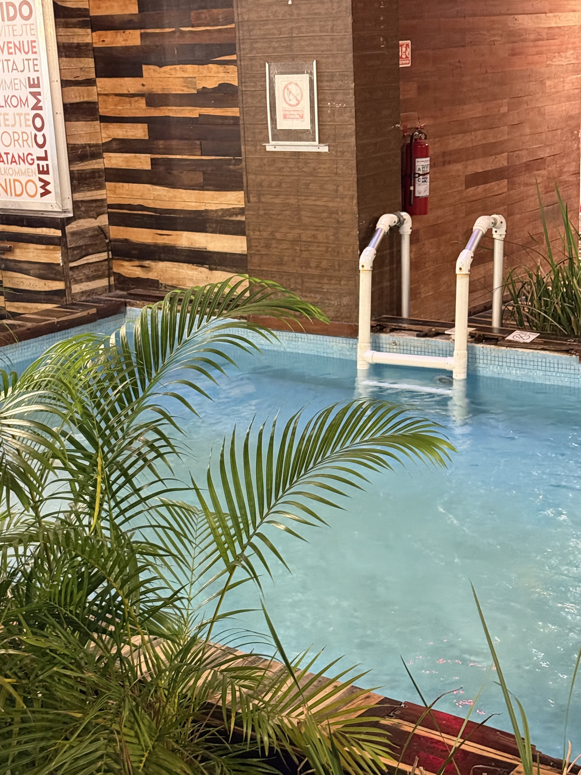 Hotel Kavia 5th Avenida, Pool