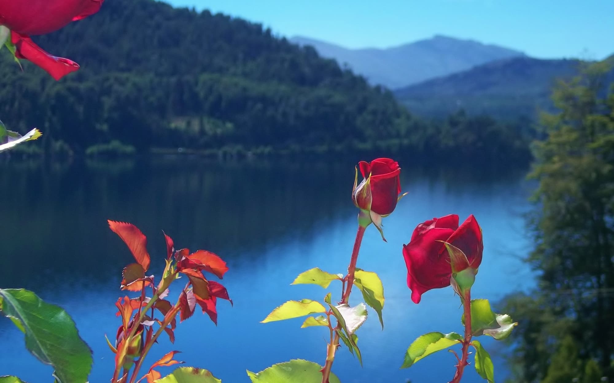 El Condado Hosteria, General view