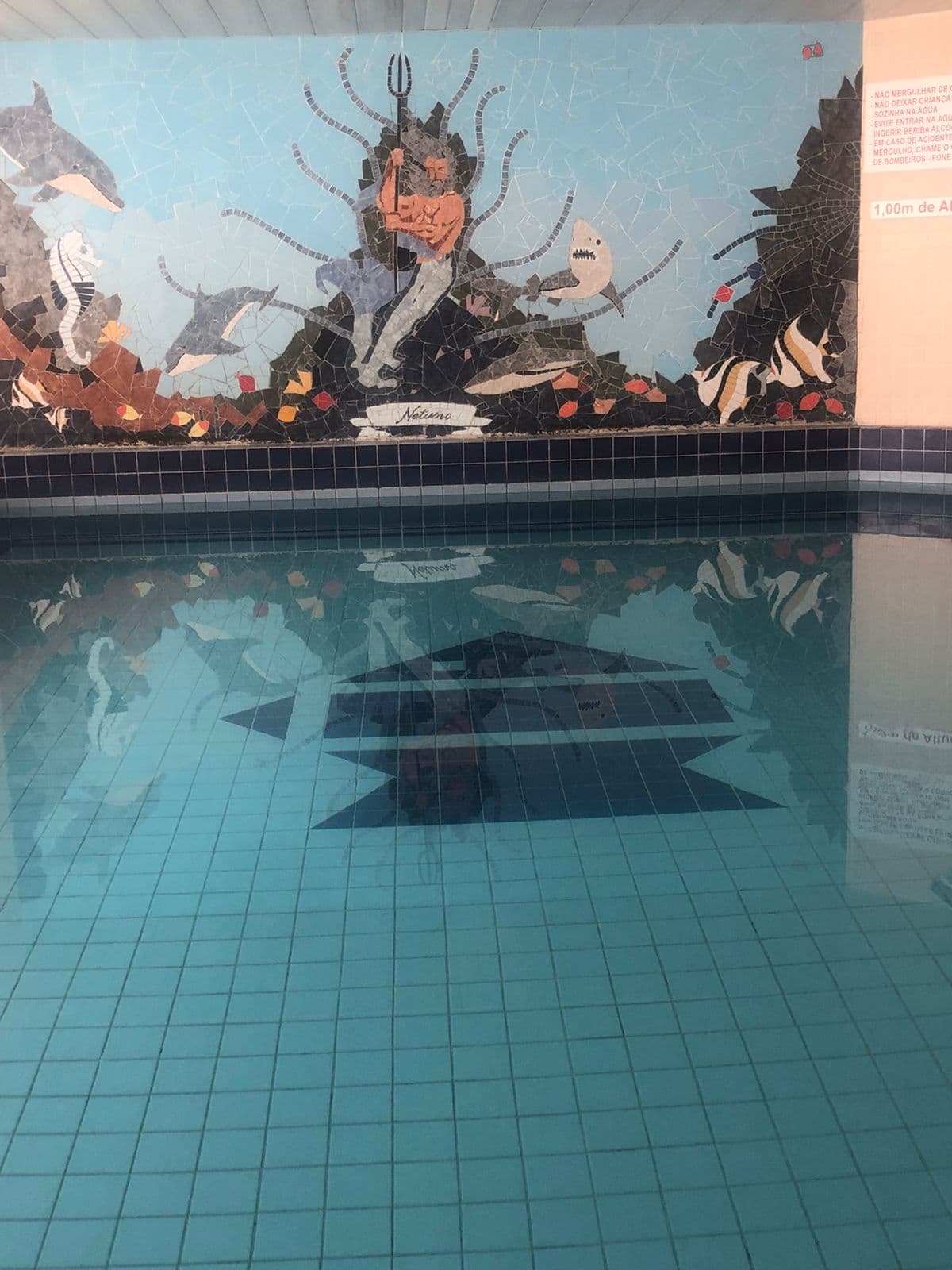 Ingleses Praia Hotel, General view