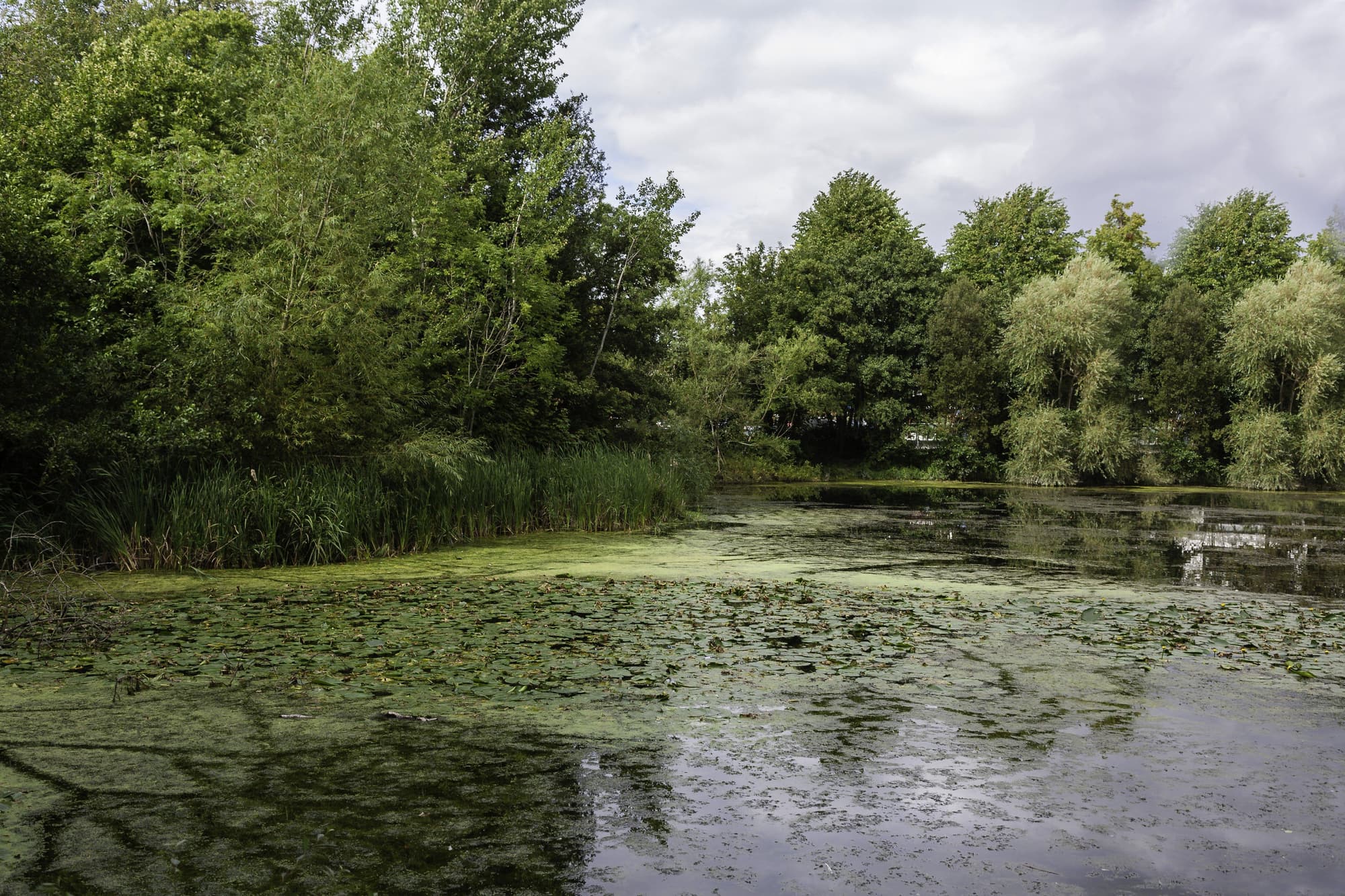 Holiday Inn Express Dublin Airport, General view