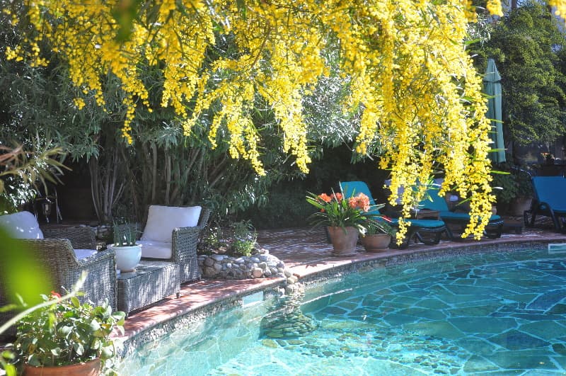 El Vino Hotel Suites, Pool