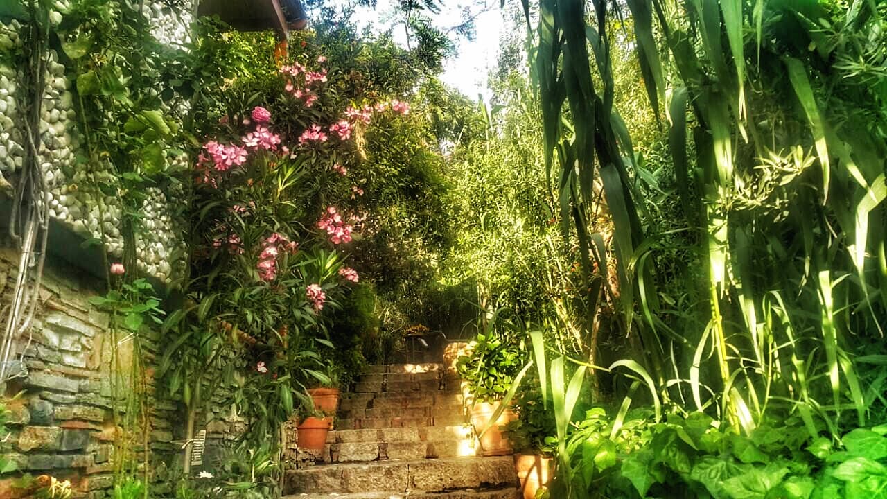 El Vino Hotel Suites, Pool