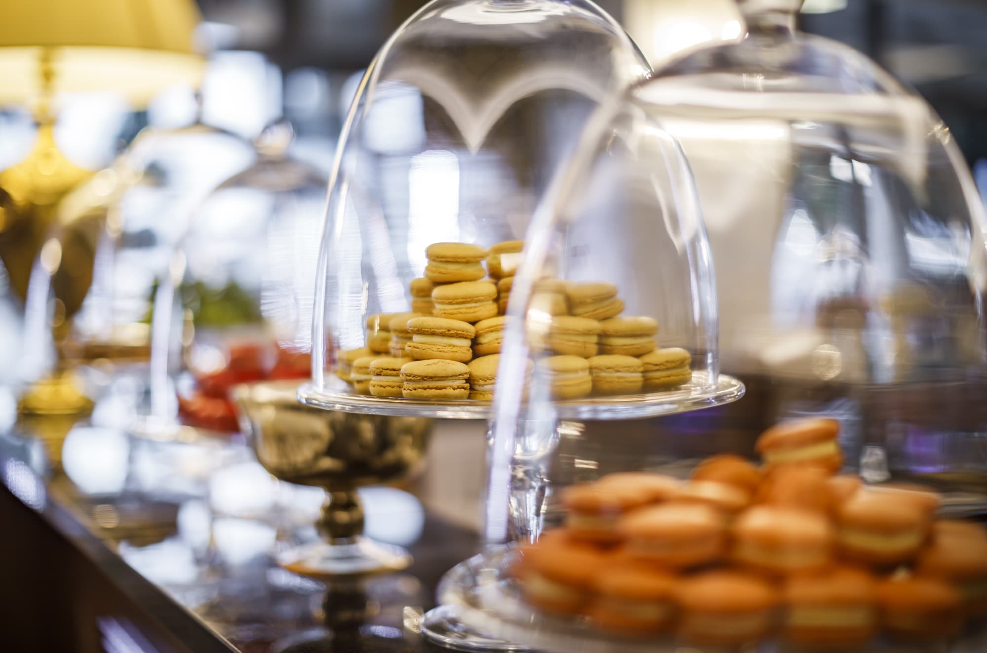 Hotel Palace Bellevue - Liburnia, Bar