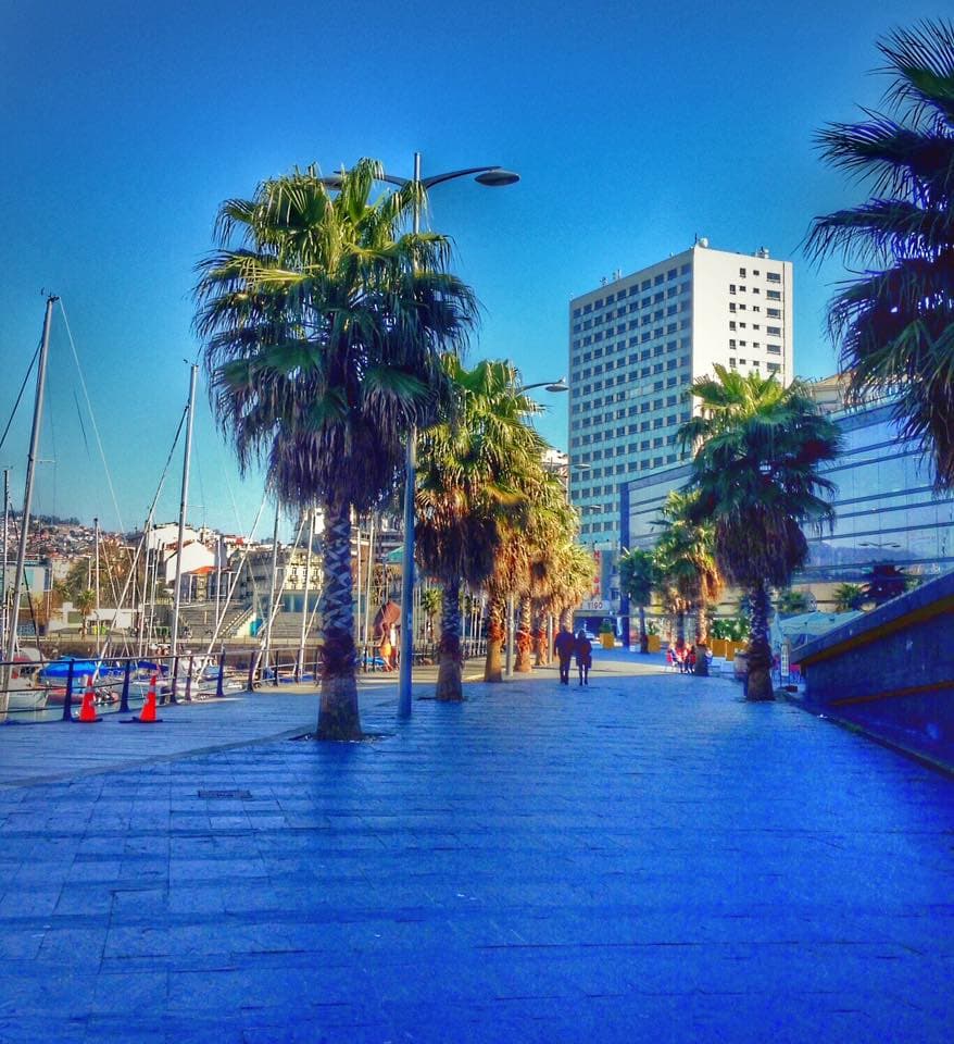 Bahia de Vigo, General view