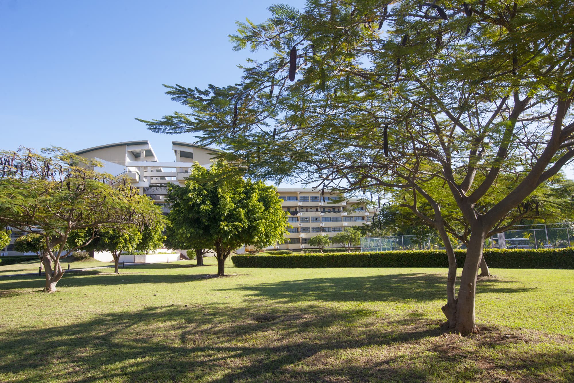 Starfish Montehabana, General view