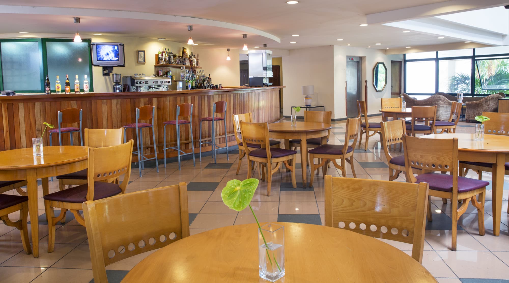 Starfish Montehabana, Bar