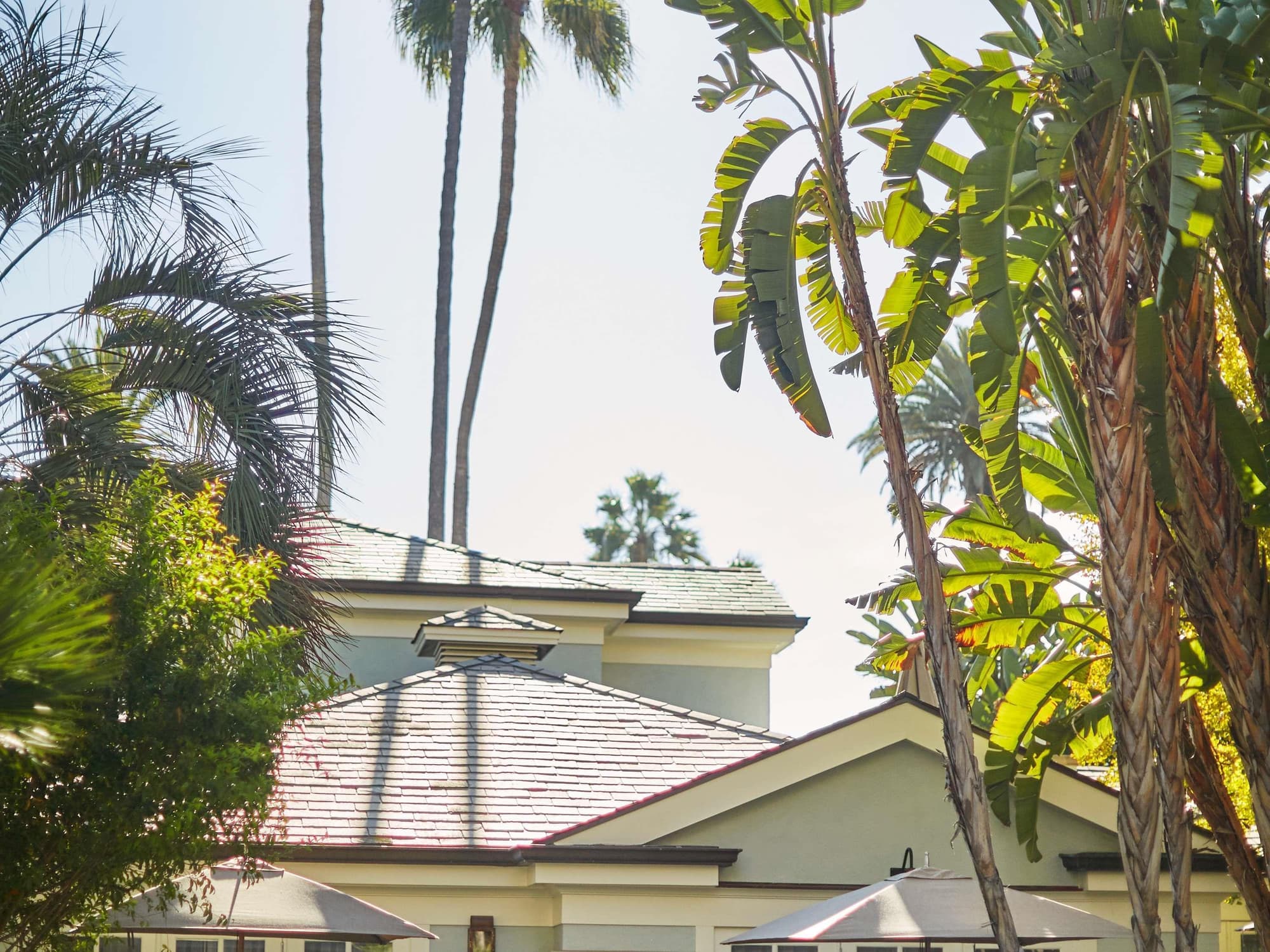 Fairmont Miramar Hotel & Bungalows, Room