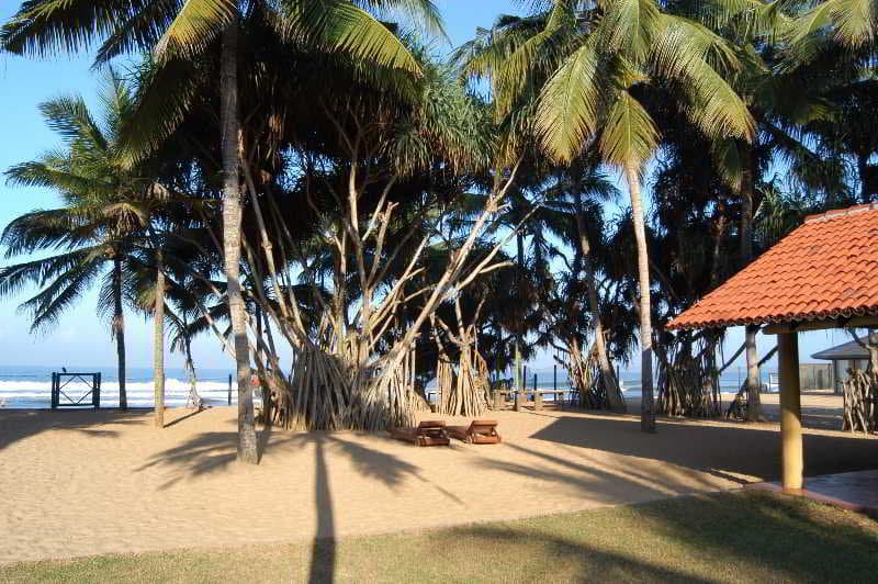Hibiscus Beach Hotel Kalutara, Beach