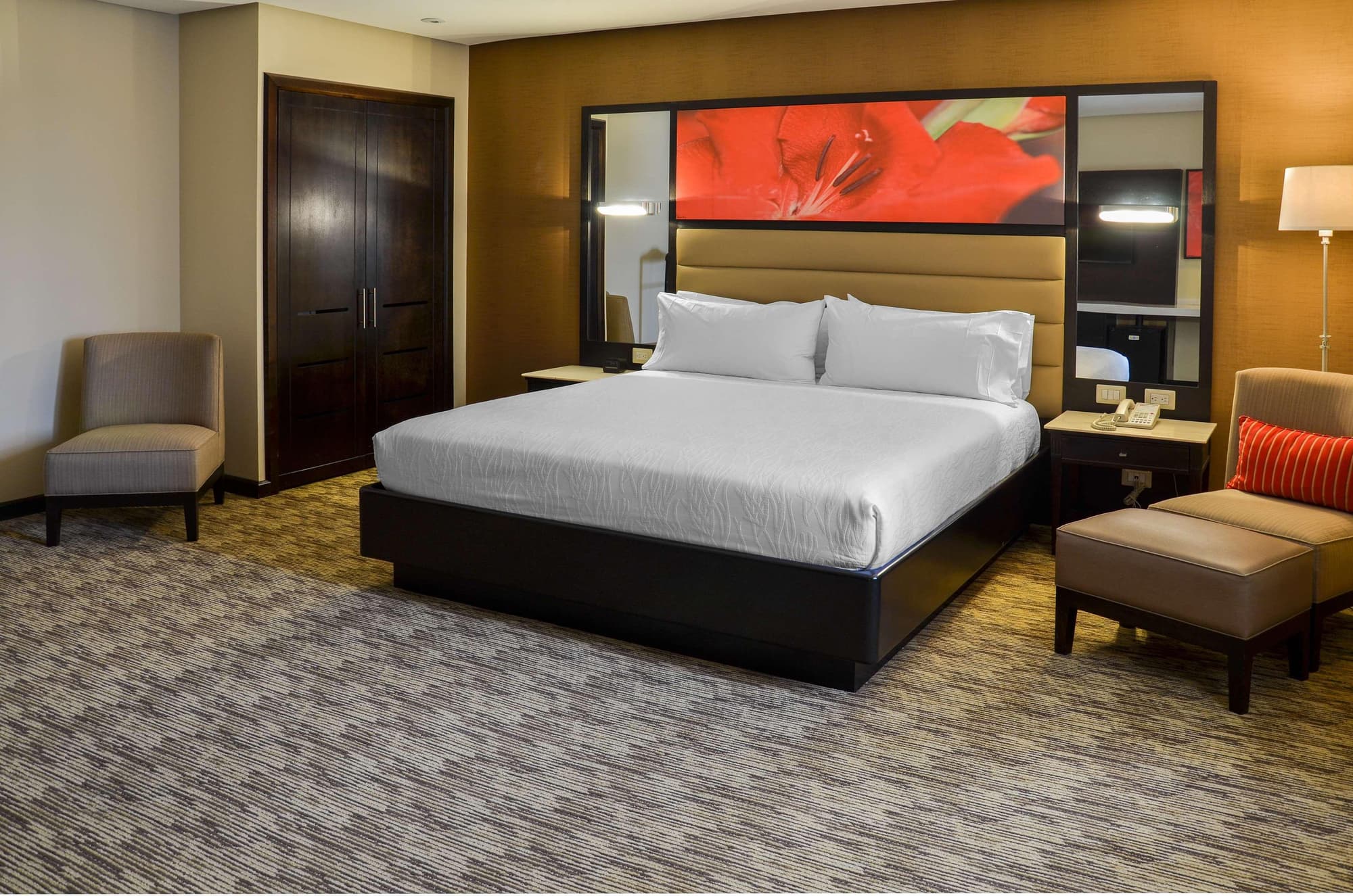 Hilton Garden Inn Guatemala City, Room