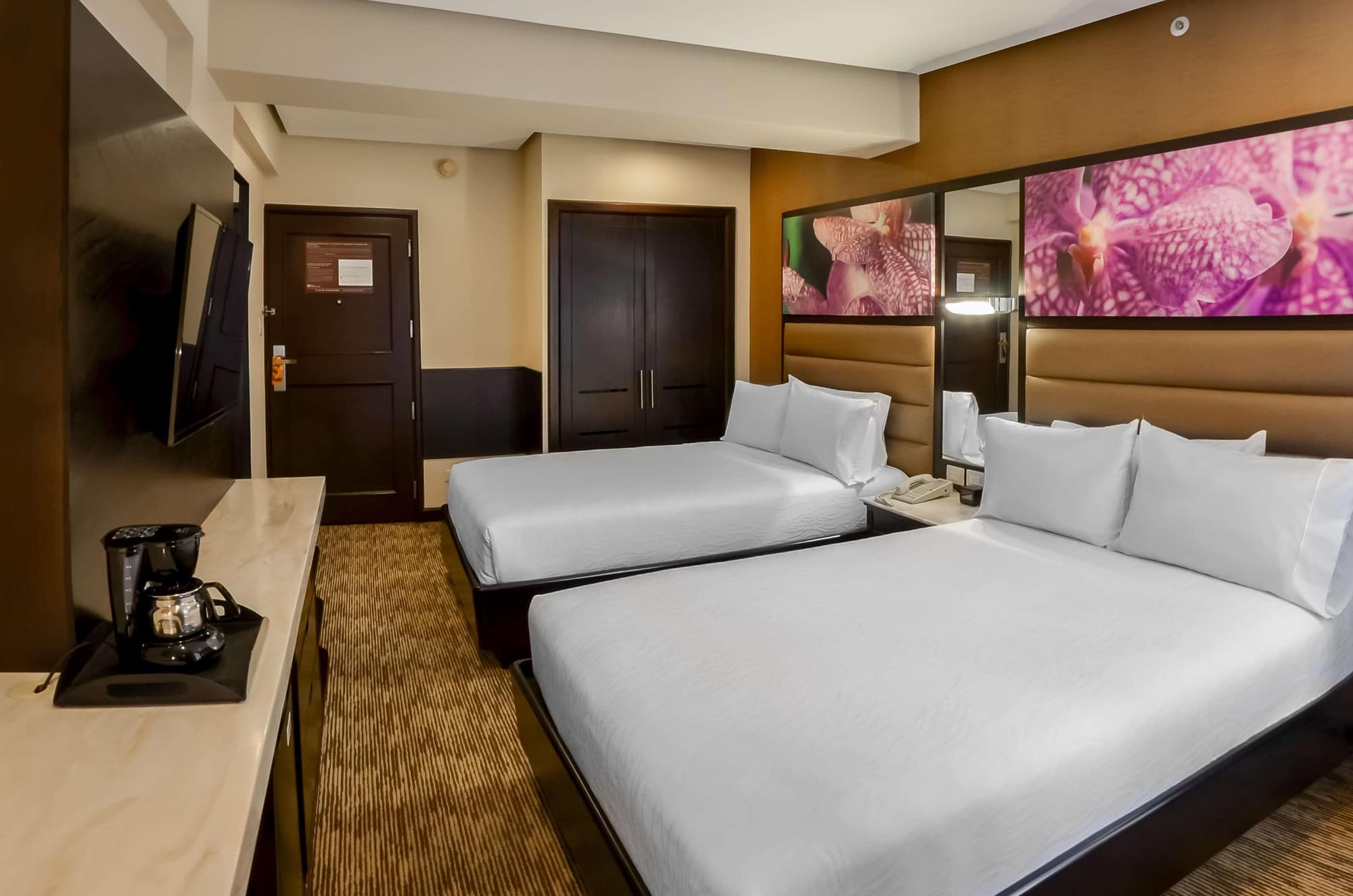 Hilton Garden Inn Guatemala City, Room