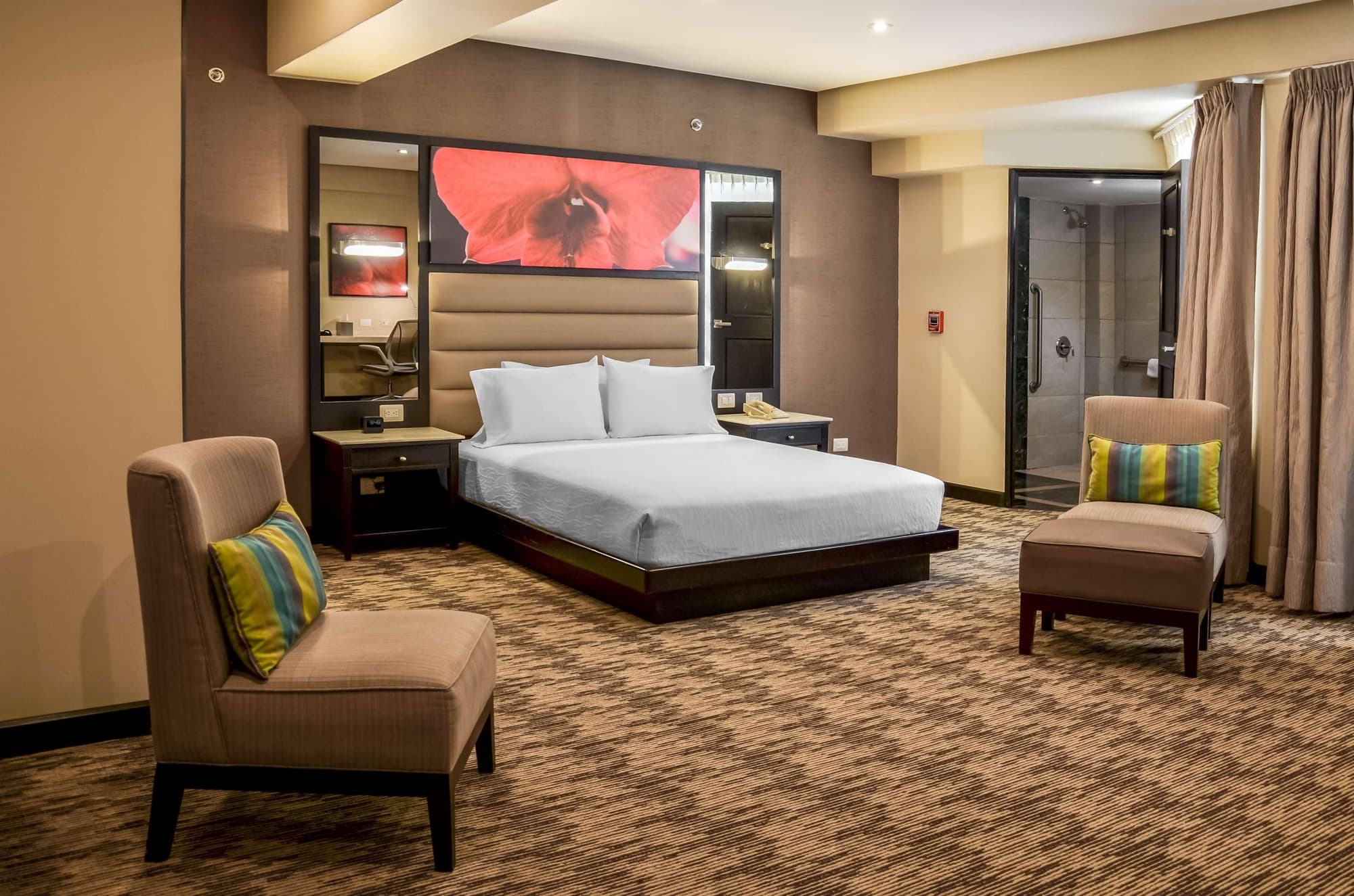 Hilton Garden Inn Guatemala City, Room