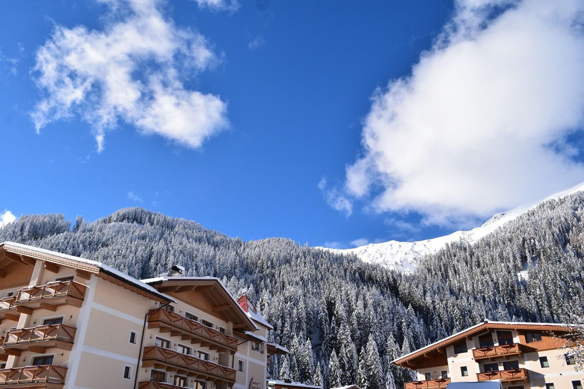 Alpinhotel Berghaus, General view