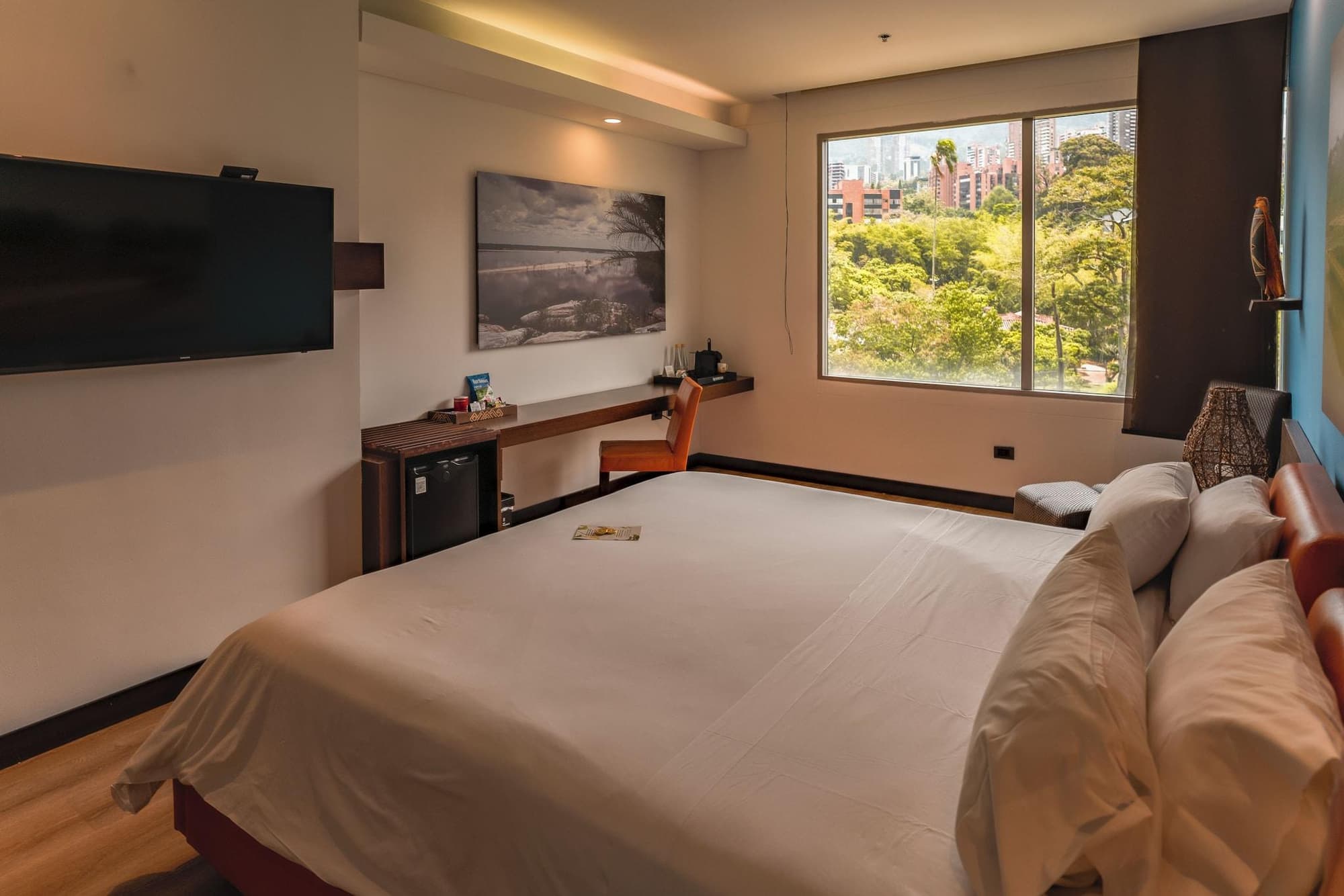 Diez Hotel Categoría Colombia, Room