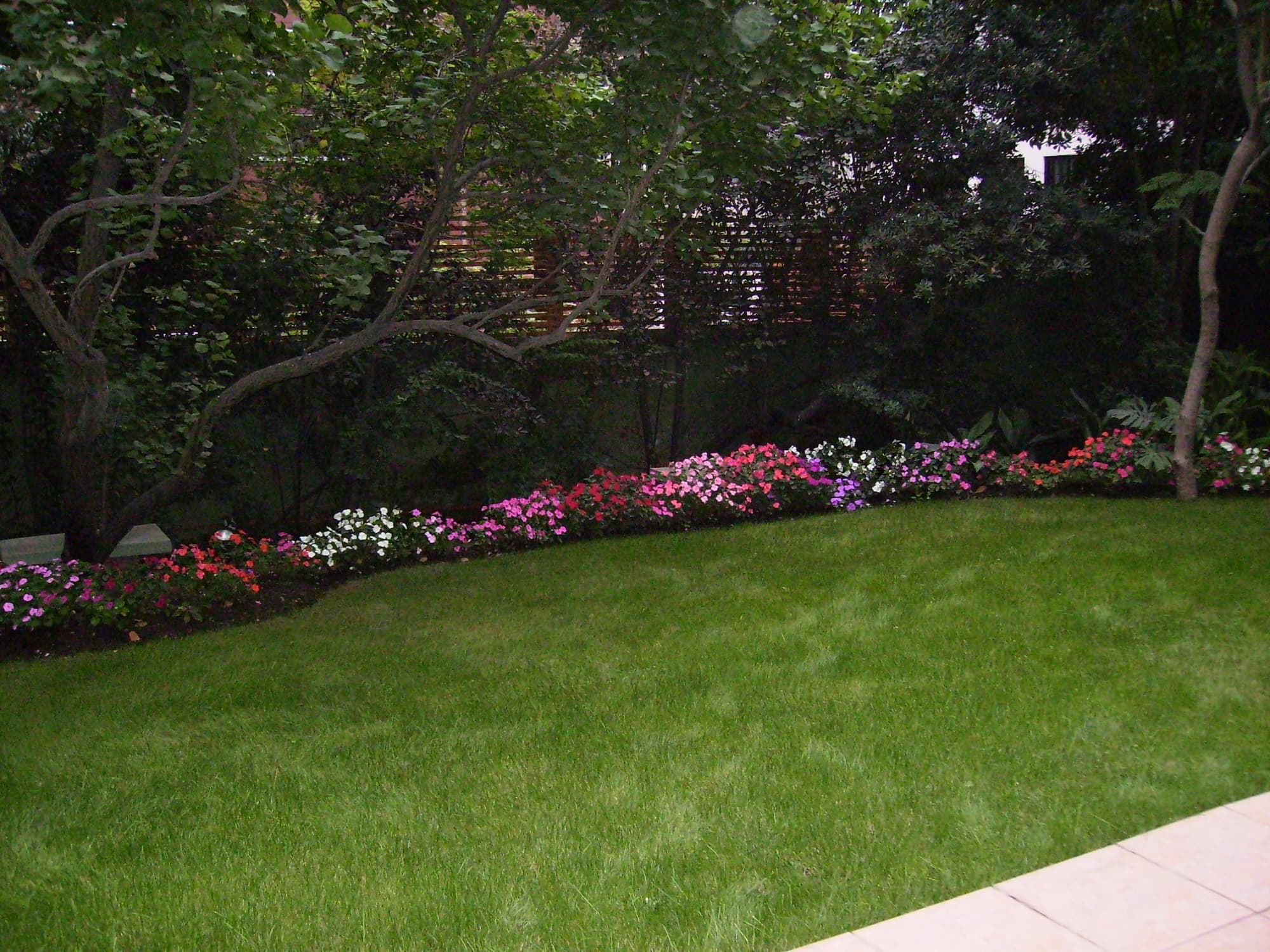 Eurotel El Bosque, Terrace