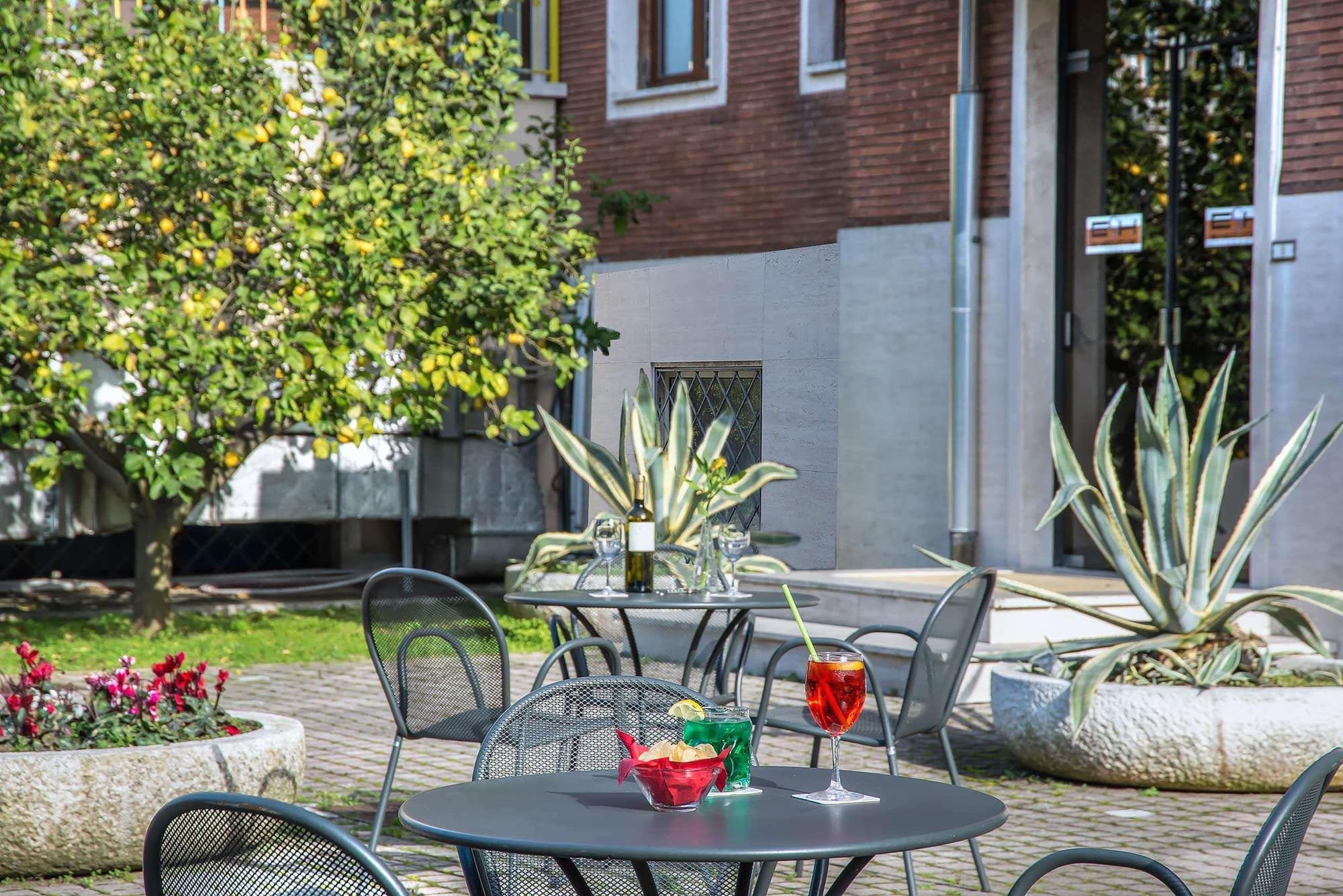 Occidental Aurelia, General view