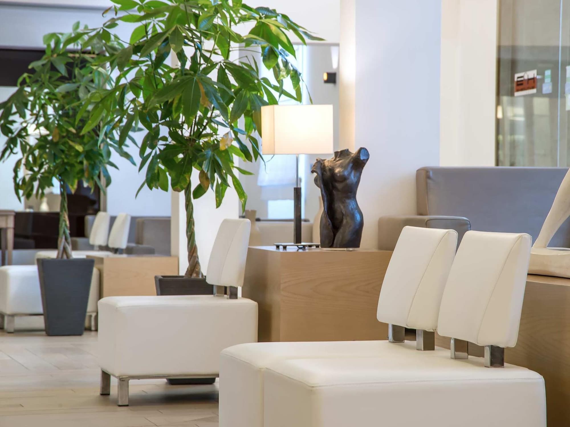 Occidental Aurelia, General view