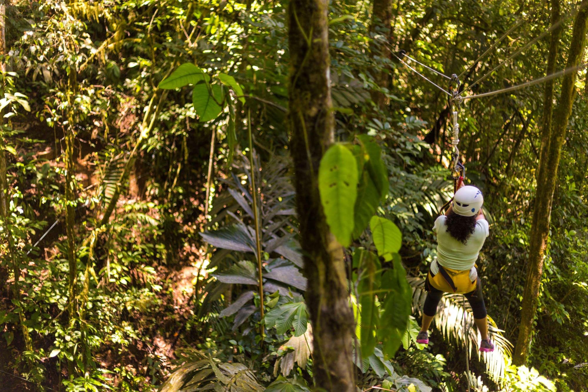 Pacuare Lodge, General view